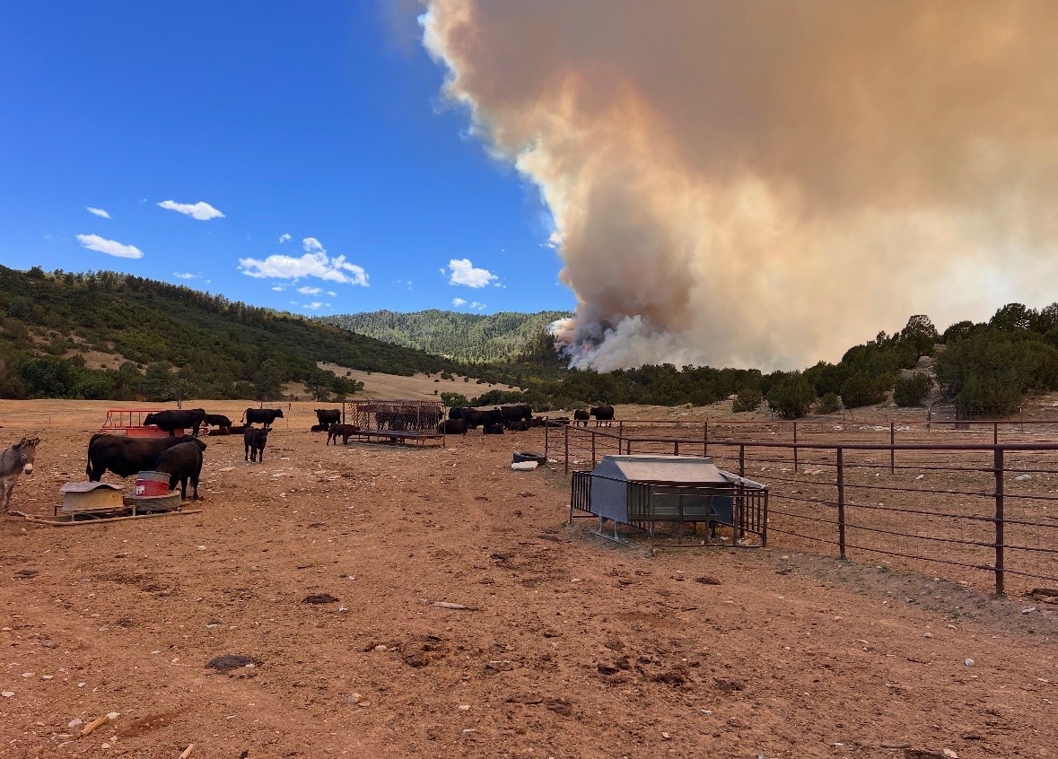 Support the Cox Family Ranch in Their Time of Need campaign photo, 4 of 7