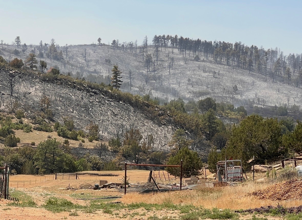 Support the Cox Family Ranch in Their Time of Need campaign photo, 5 of 7