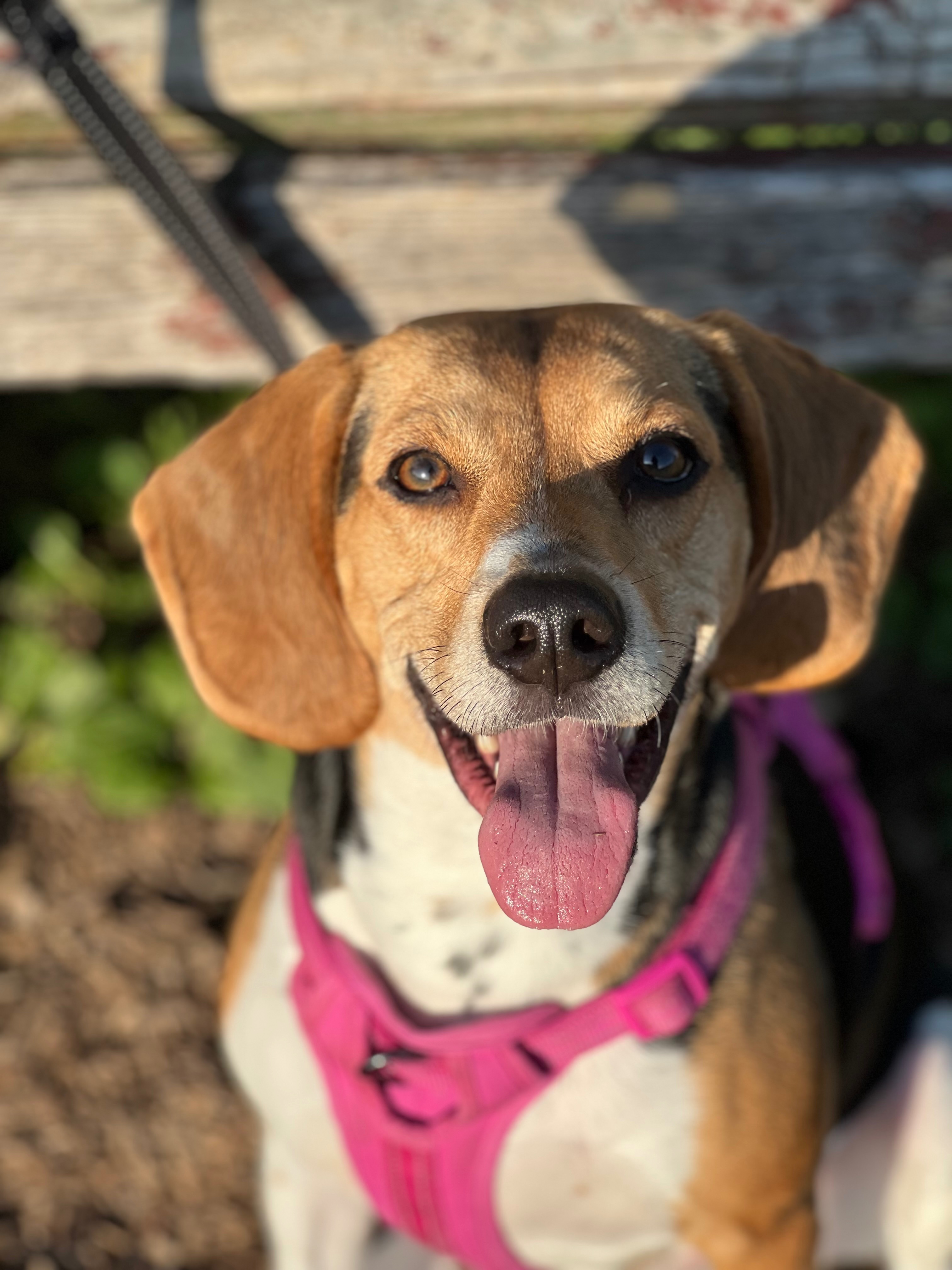 Help Us Find the Cause of Her Seizures campaign photo, 2 of 8