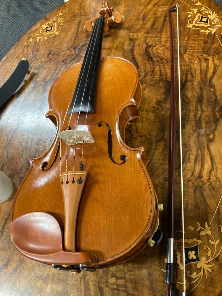 Viola playing prescribed by doctors for healing campaign photo, 4 of 7