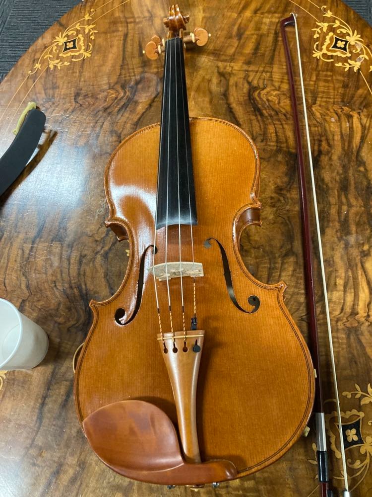 Viola playing prescribed by doctors for healing campaign photo, 5 of 7