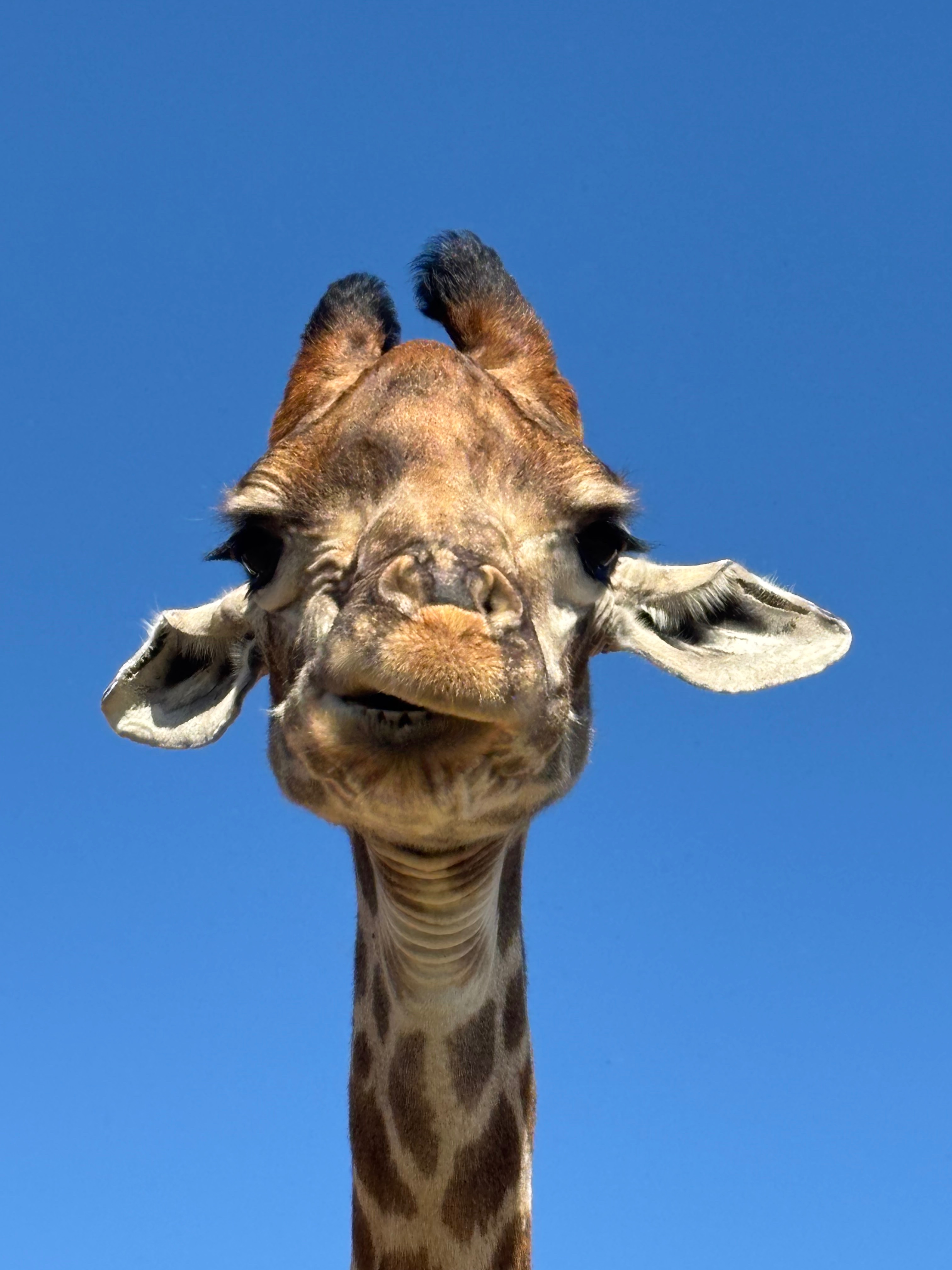 Support the animals at Libran Wildlife Reserve campaign photo, 5 of 8