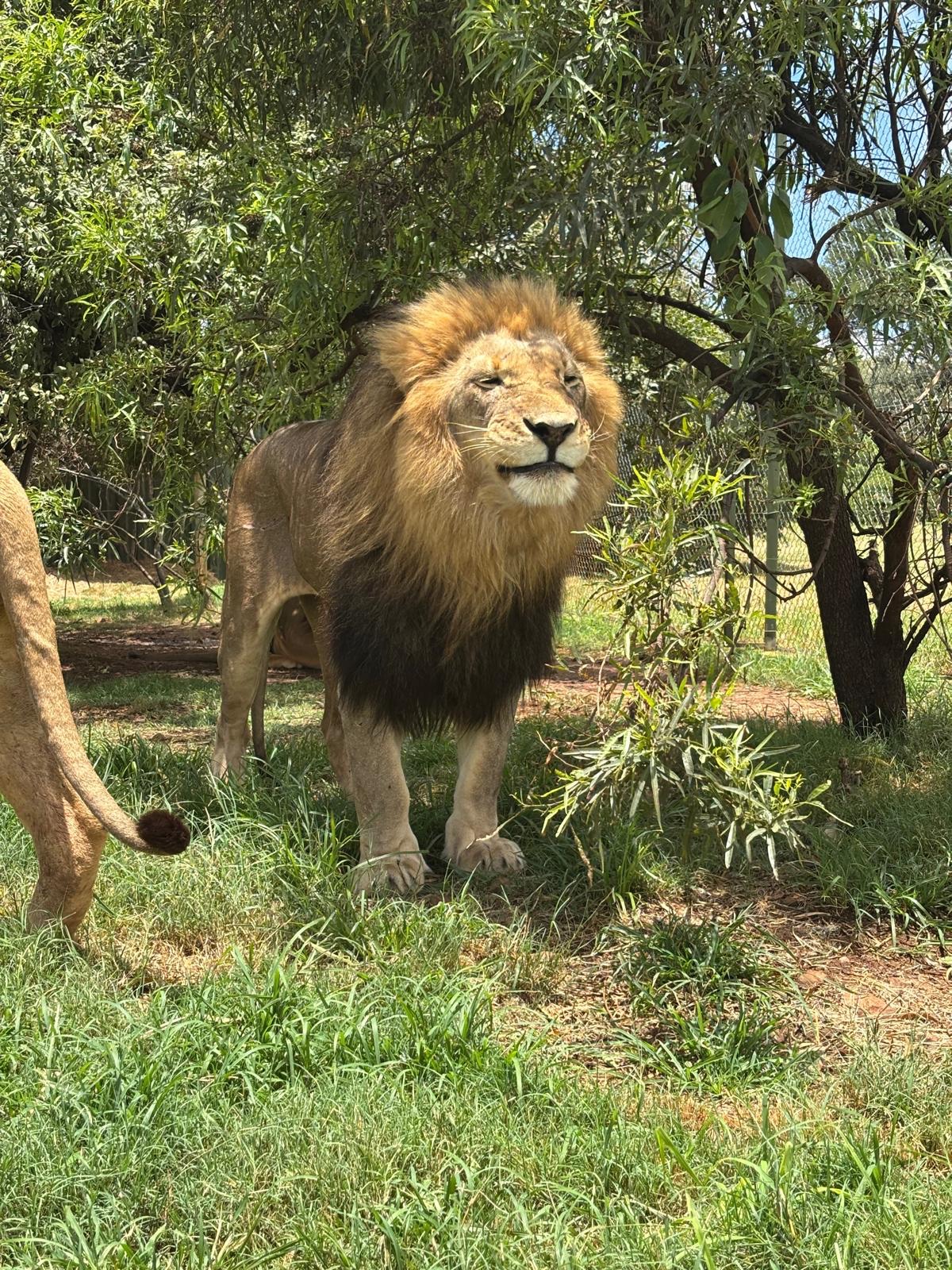 Support the animals at Libran Wildlife Reserve campaign photo, 4 of 8