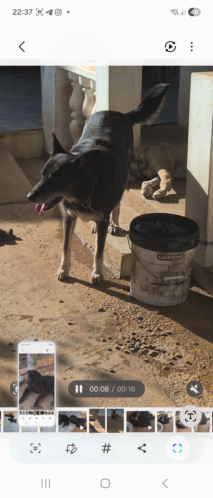 Help us open a second shop for the animals x campaign photo, 2 of 6
