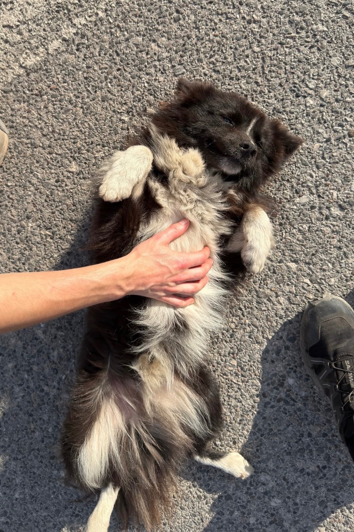 From Albania to home: Bluey’s story campaign photo, 6 of 7
