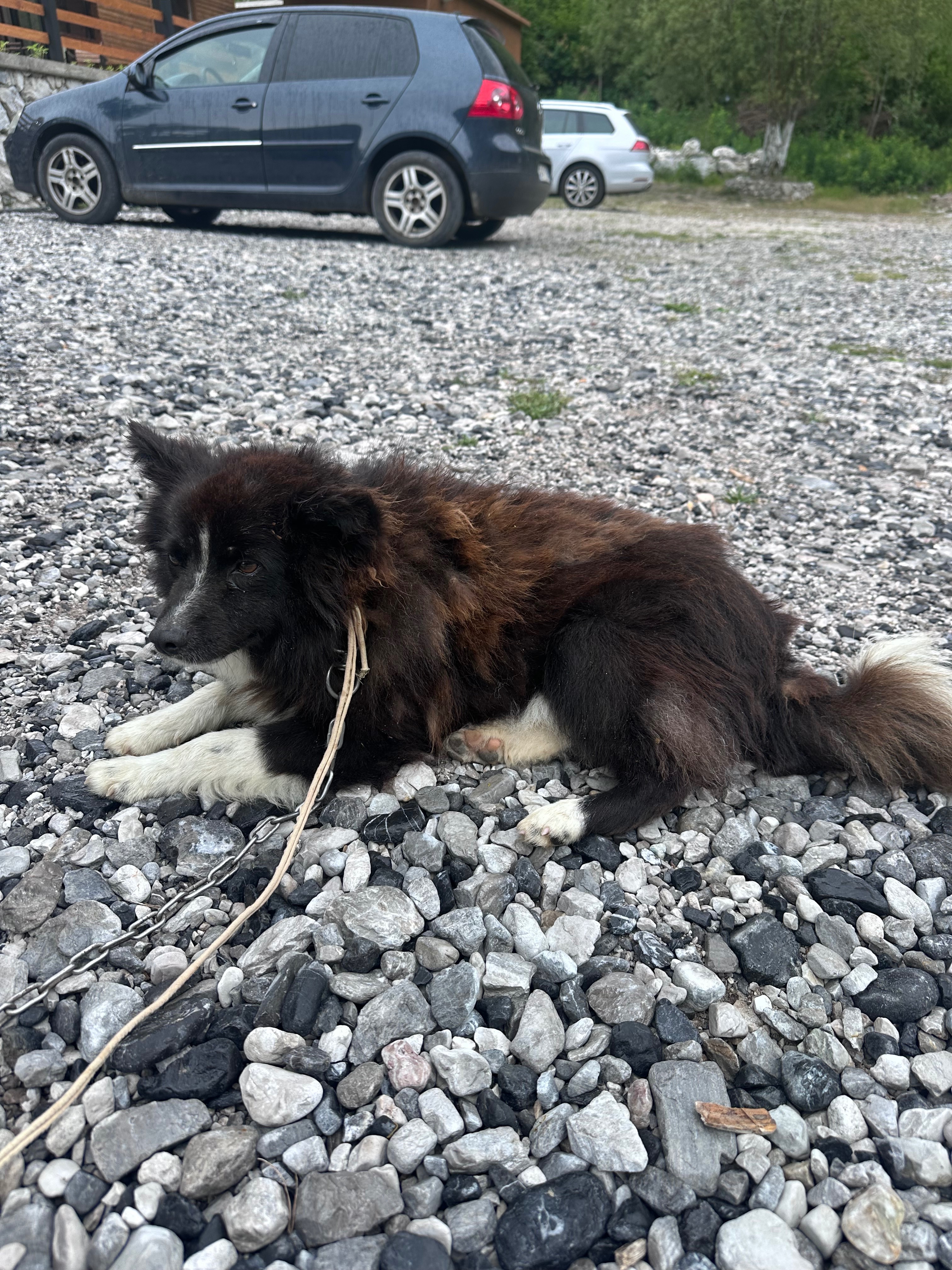 From Albania to home: Bluey’s story campaign photo, 4 of 7