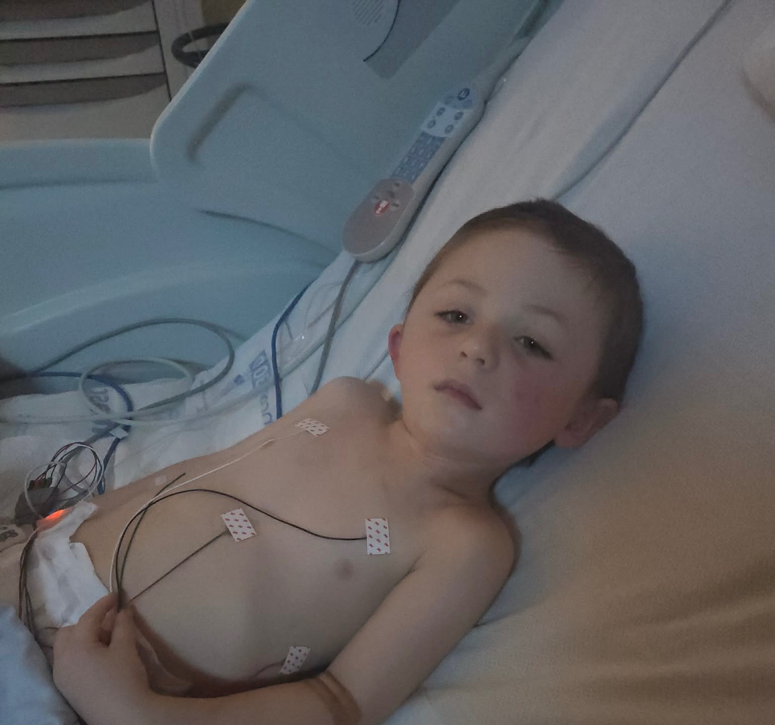 Support Declan After Large Tree Branch Accident campaign photo, 4 of 7