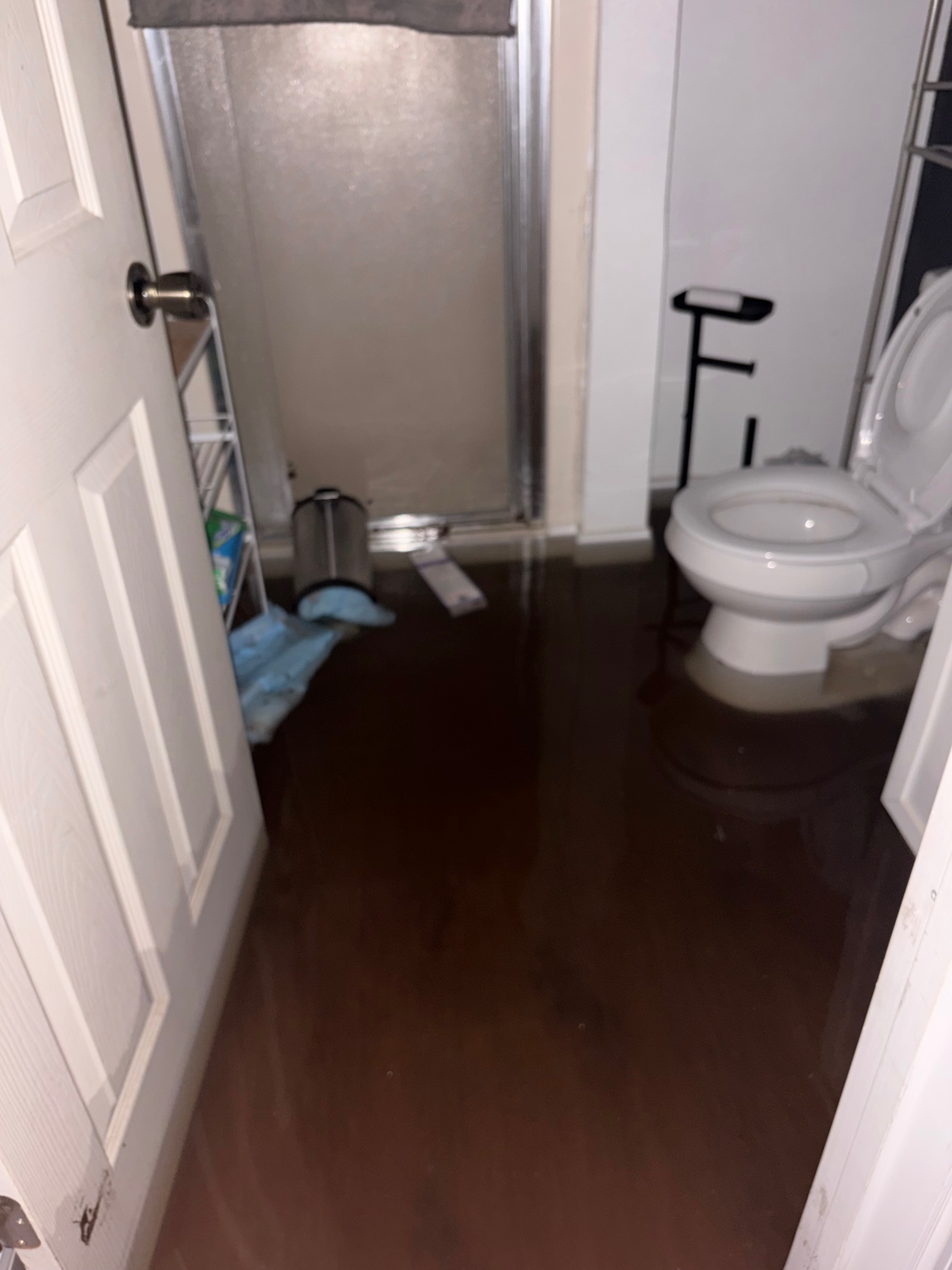 Helping the Humburgs Water Damage Repairs campaign photo, 4 of 6