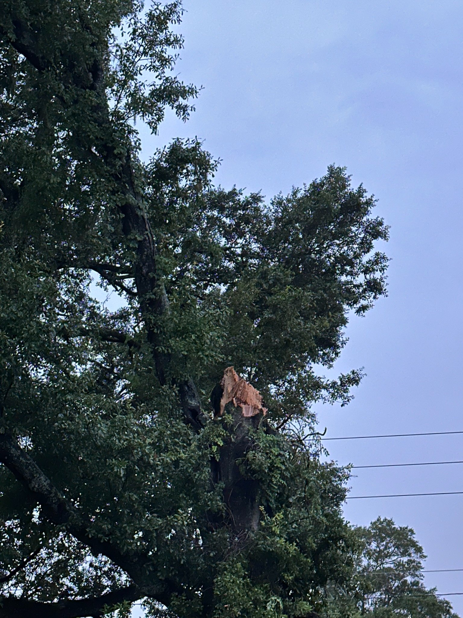 Help Olivia and Jon Rebuild After Storm Damage campaign photo, 4 of 8