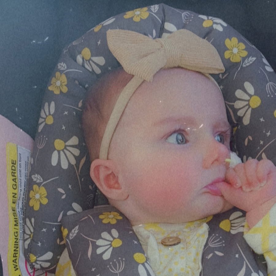 In Memory of Baby Raylynn Paige Johnson campaign photo, 6 of 7