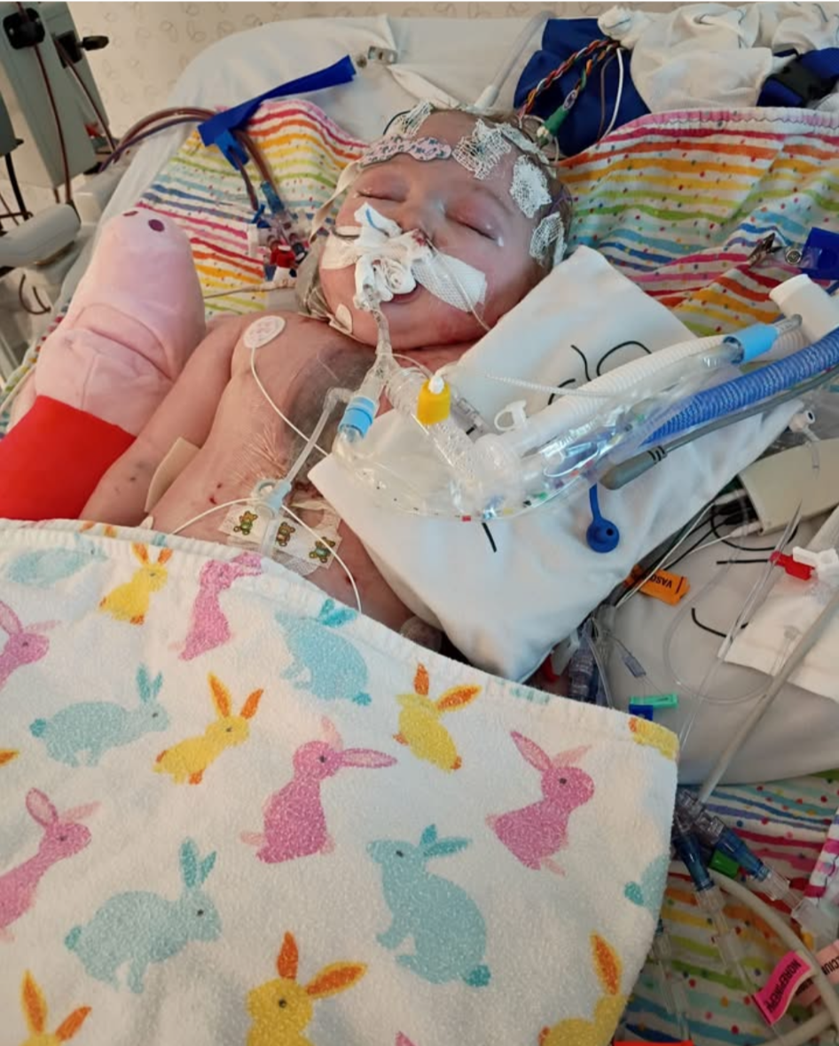 In Memory of Baby Raylynn Paige Johnson campaign photo, 4 of 7