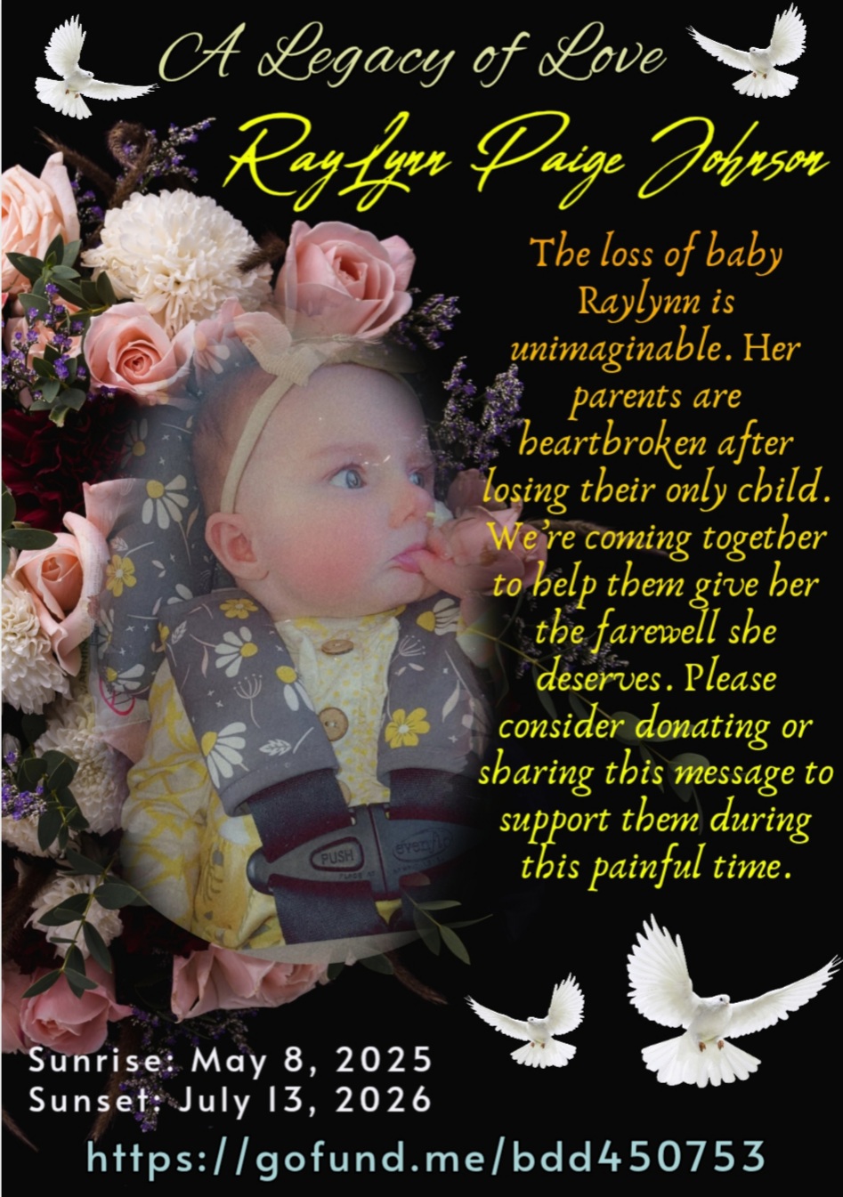 In Memory of Baby Raylynn Paige Johnson campaign photo, 5 of 7