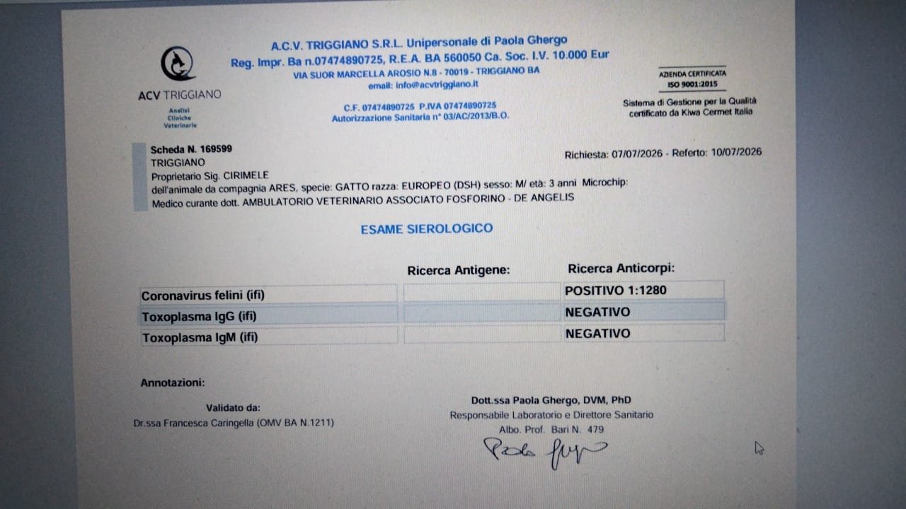 Ares,84 giorni di terapia per la FIP. campaign photo, 2 of 7