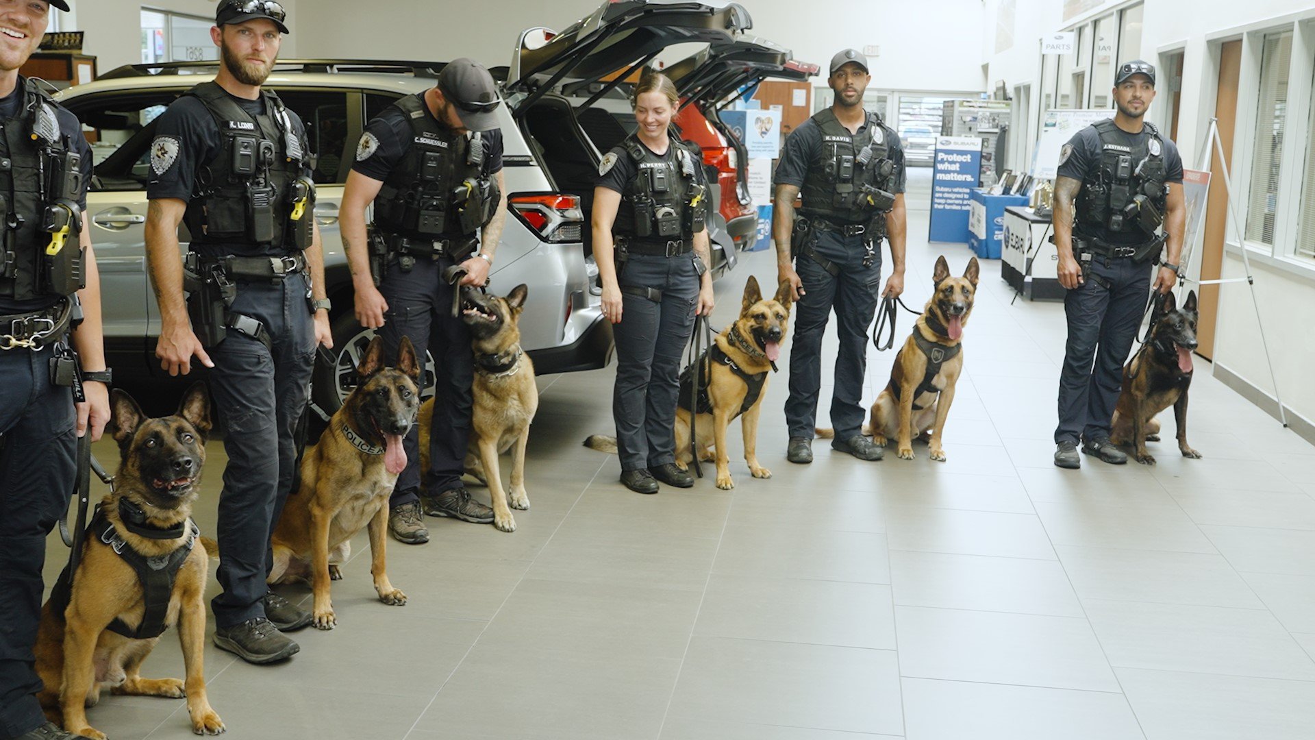 Double your impact: Storm Vests for NCPD k9 unit campaign photo, 2 of 8
