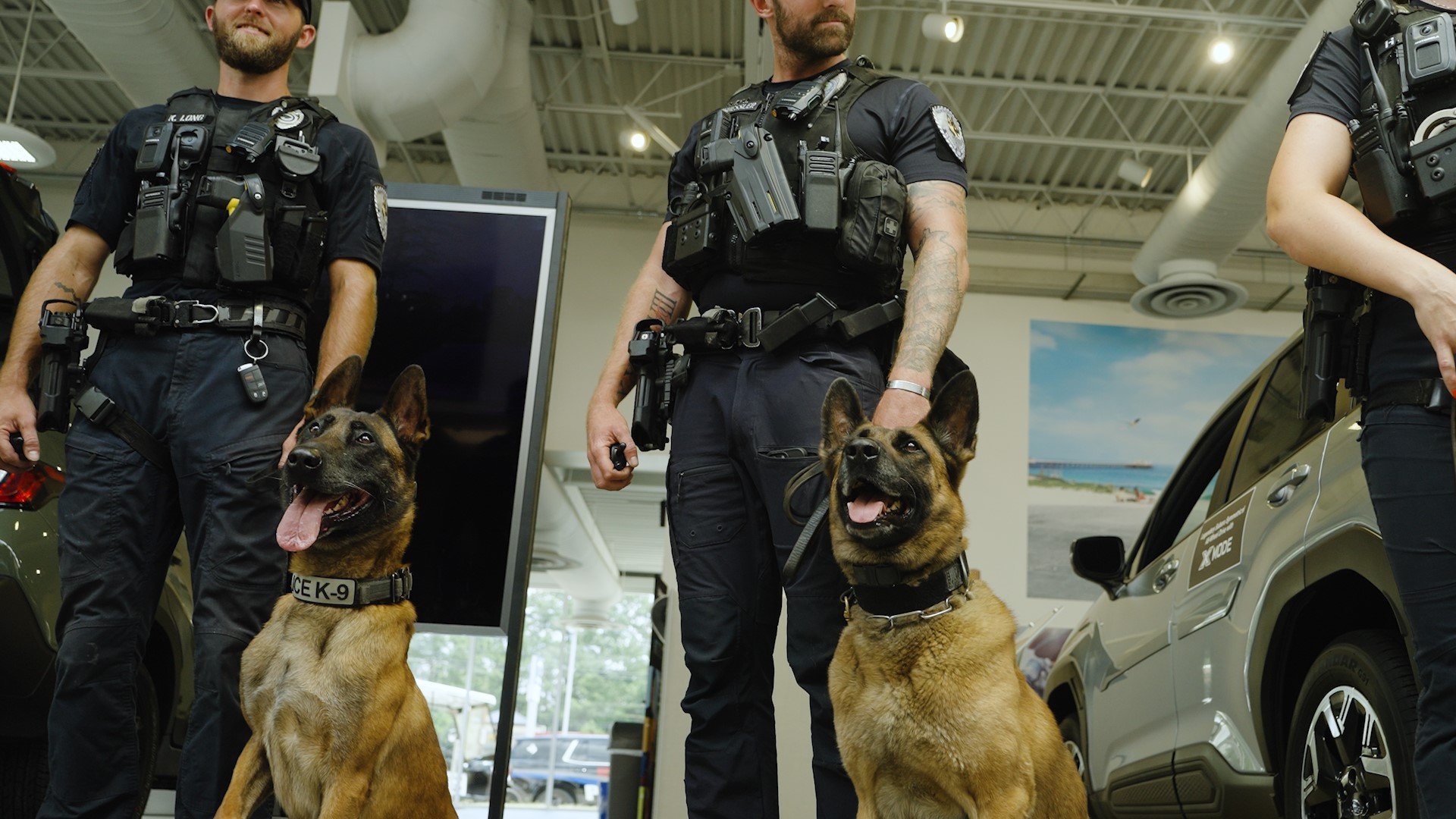 Double your impact: Storm Vests for NCPD k9 unit campaign photo, 5 of 8