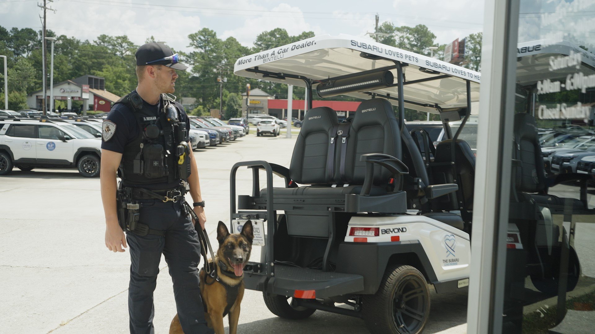 Double your impact: Storm Vests for NCPD k9 unit campaign photo, 6 of 8