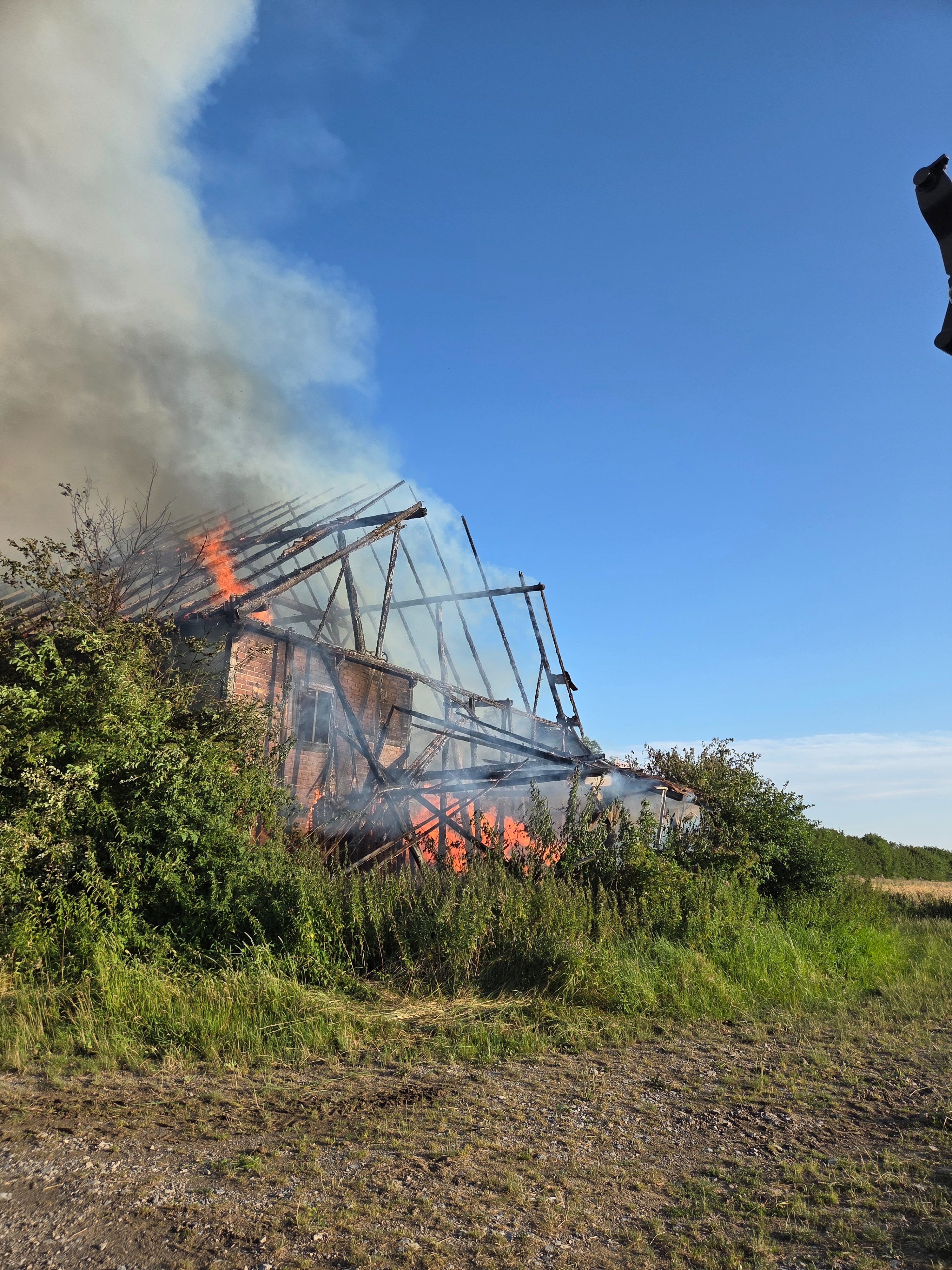 Notlage nach Scheunenbrand -Rettung für den Bio-Hof Maas campaign photo, 7 of 8