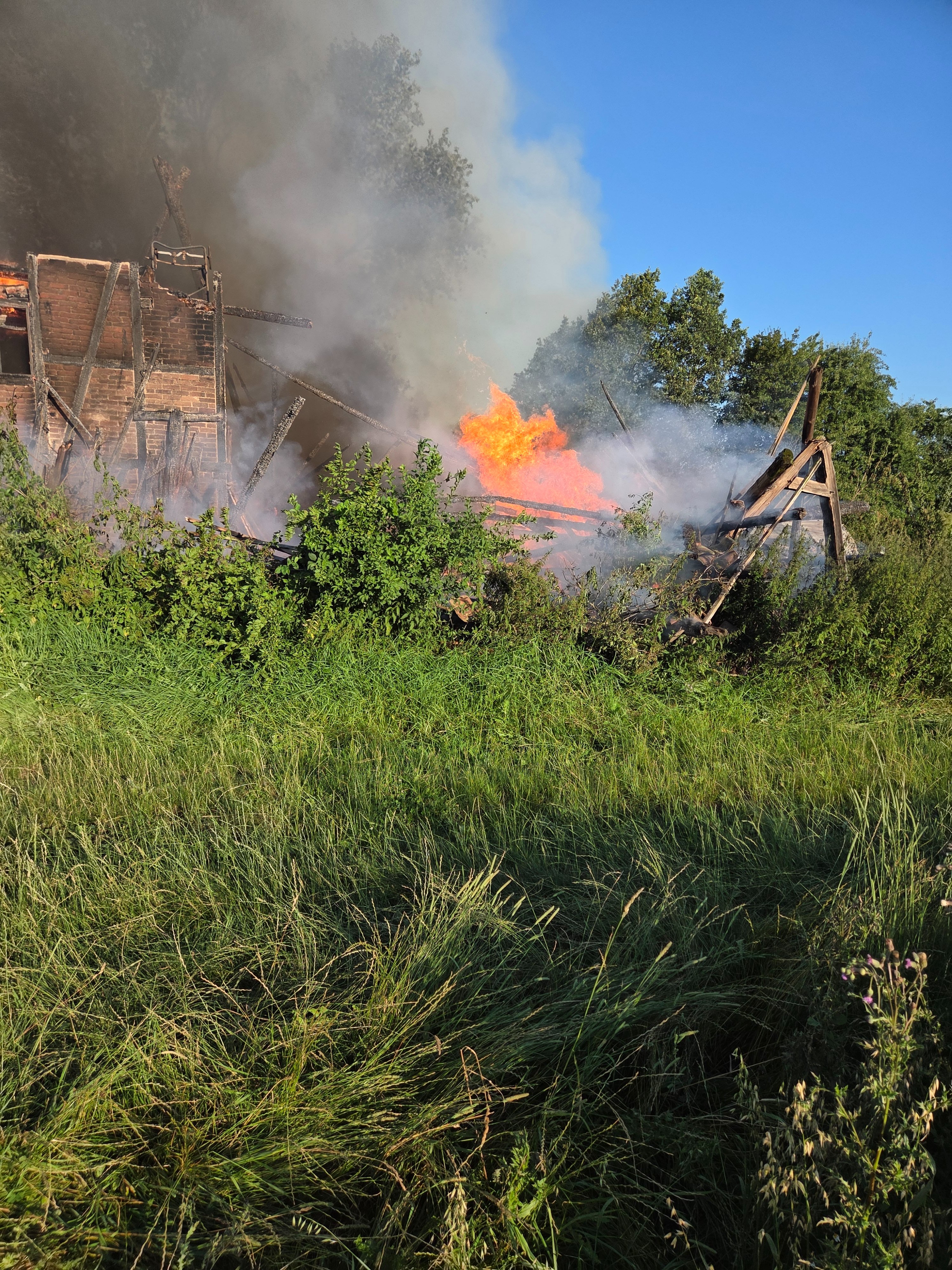 Notlage nach Scheunenbrand -Rettung für den Bio-Hof Maas campaign photo, 2 of 8