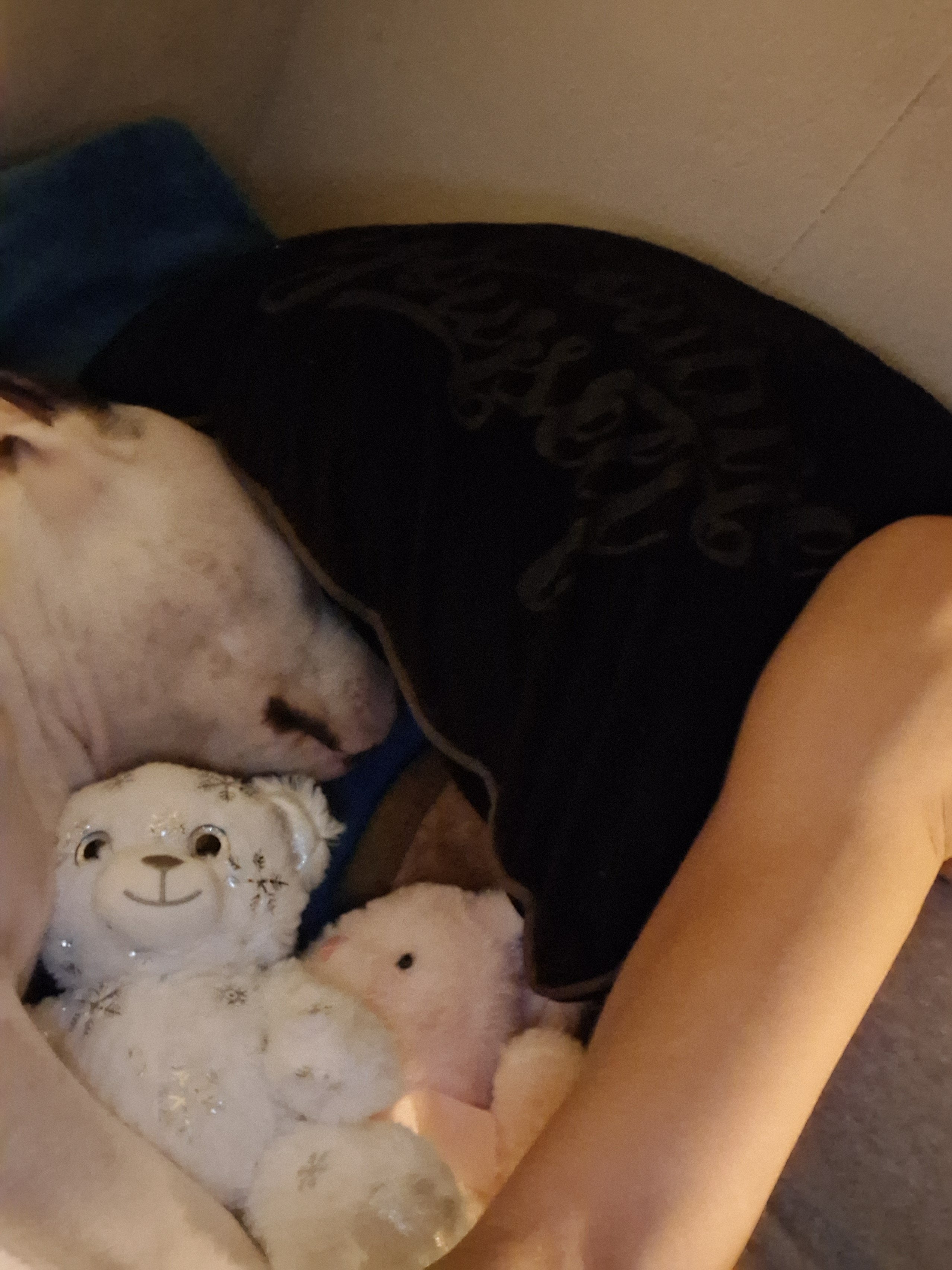 Help My Puppy Recover from Hip Injury campaign photo, 7 of 8