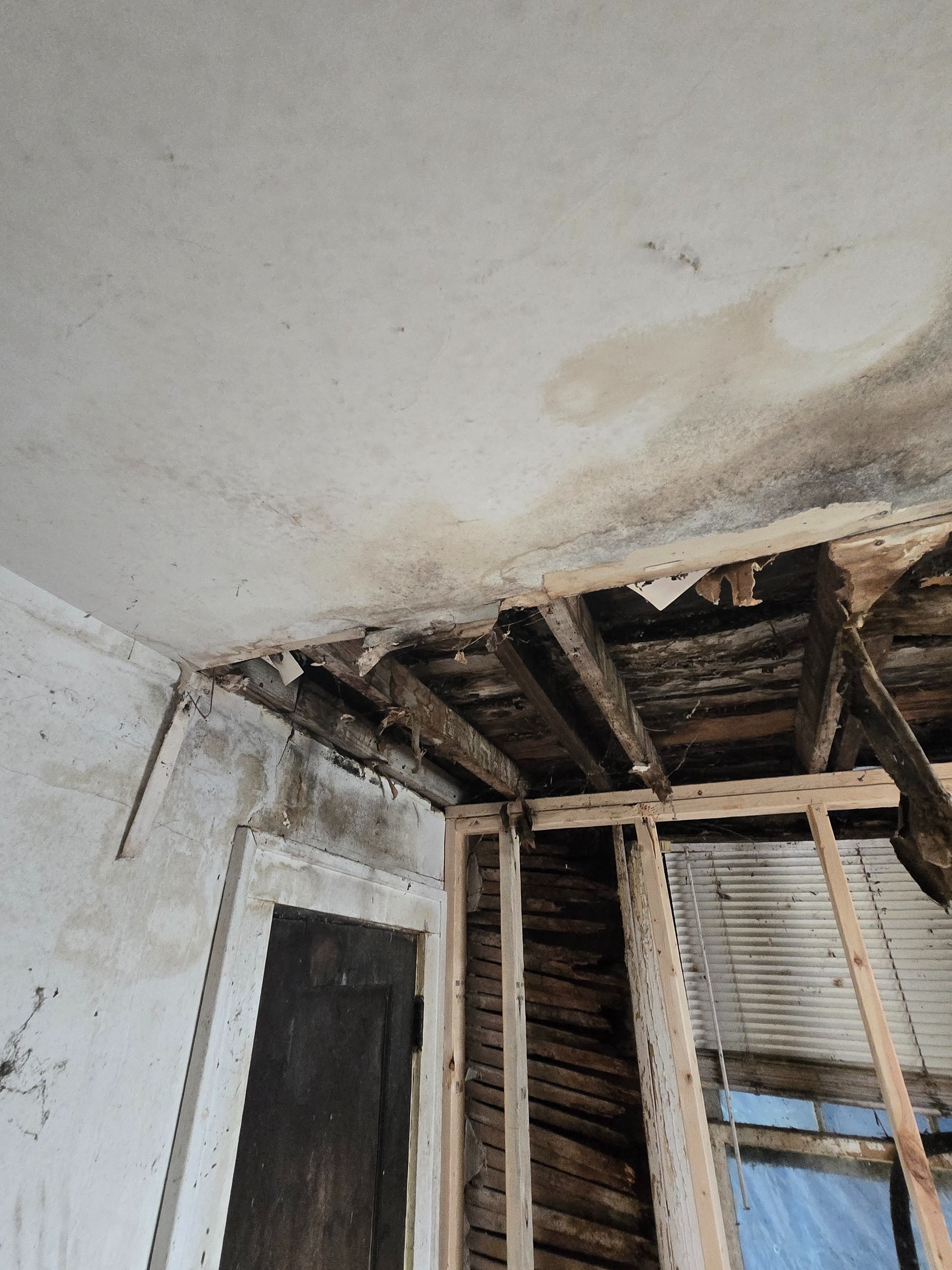 Help Save Kathleen's Historic Family Home campaign photo, 2 of 8