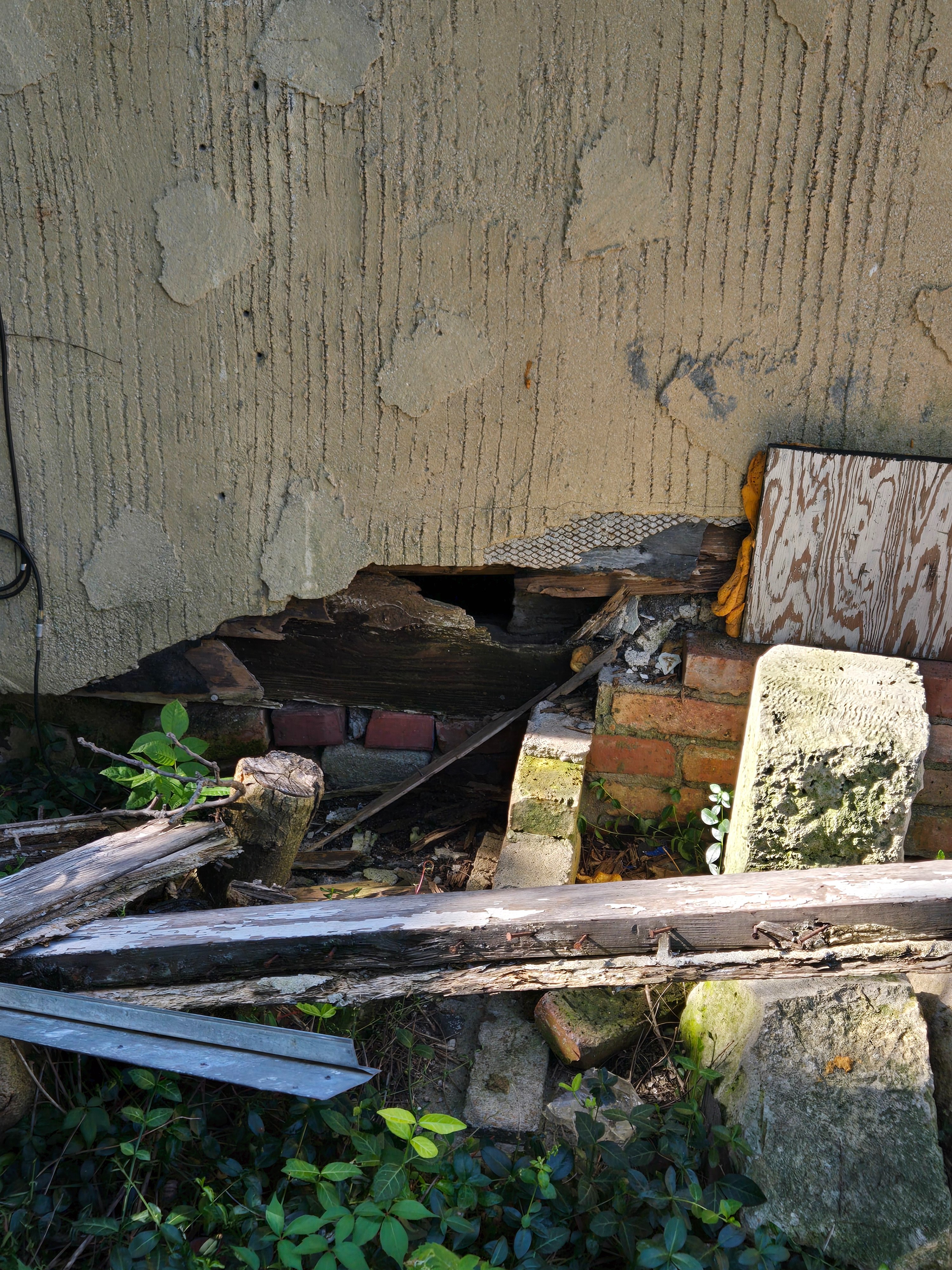 Help Save Kathleen's Historic Family Home campaign photo, 5 of 8