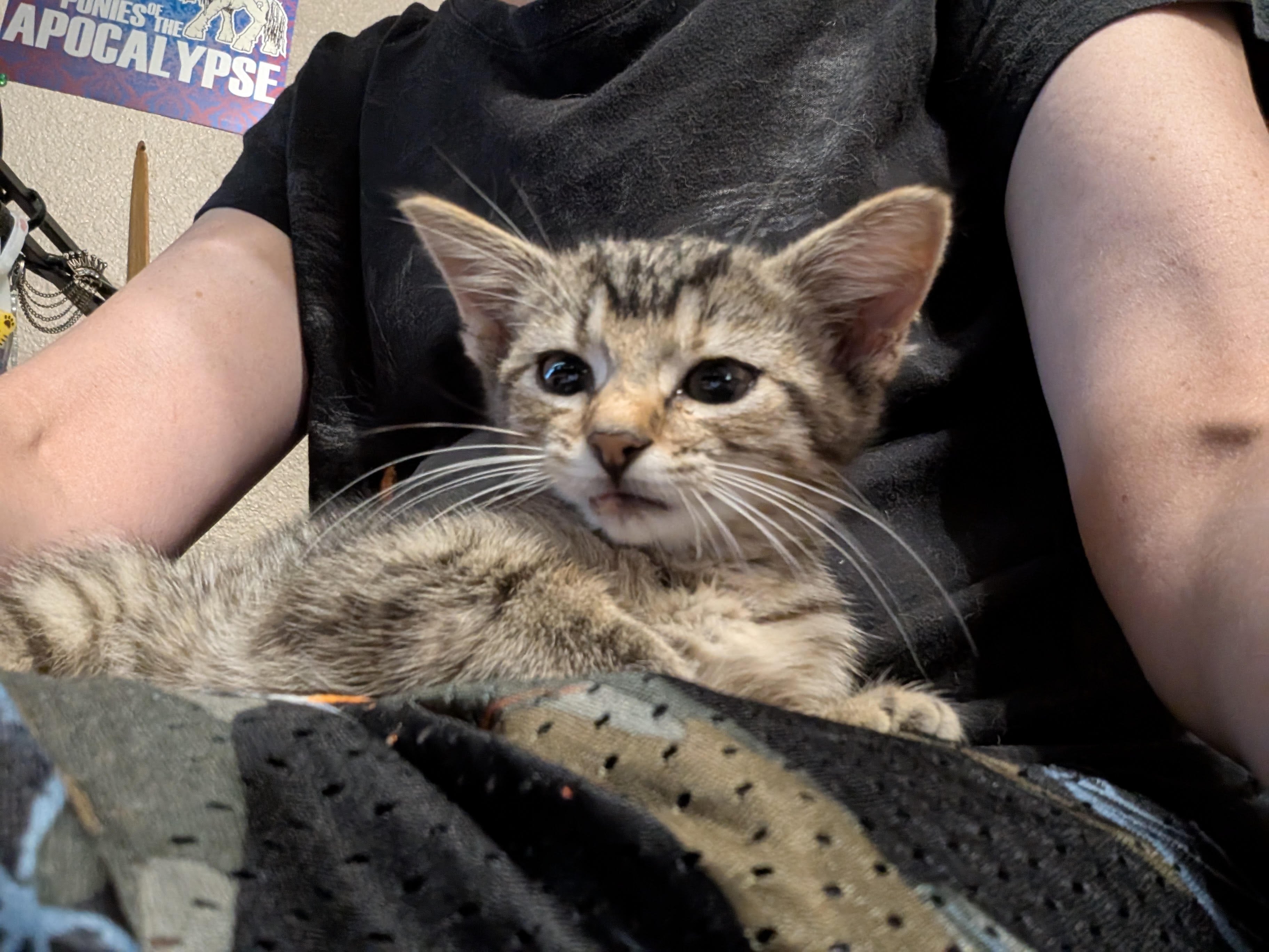 Roadie Survived—Now She Needs Our Help campaign photo, 4 of 5