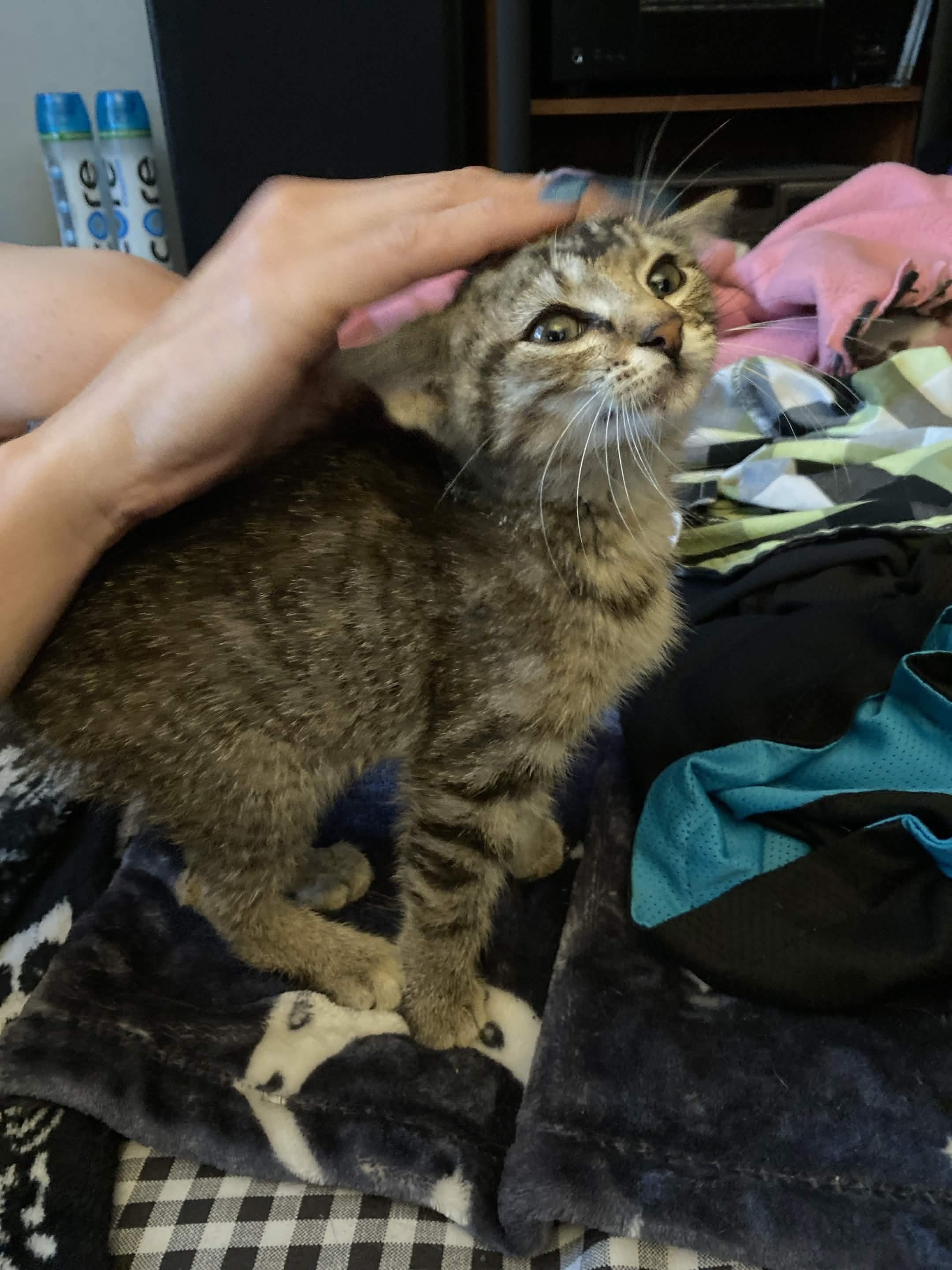 Roadie Survived—Now She Needs Our Help campaign photo, 2 of 5