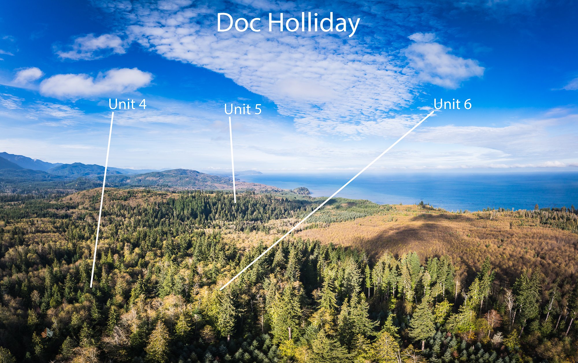 Save Twin Rivers Legacy Forests - “Doc Holliday” Units 4 & 6 campaign photo, 2 of 7