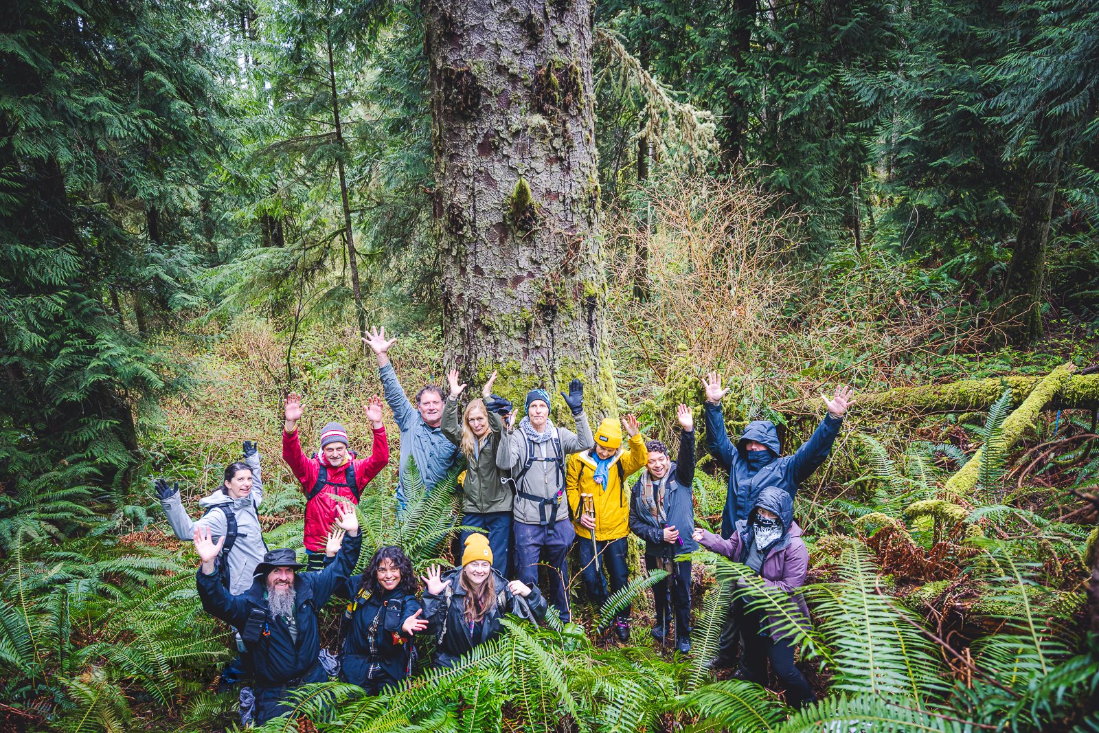 Save Twin Rivers Legacy Forests (“Doc Holliday” Timber Sale) campaign photo, 4 of 8
