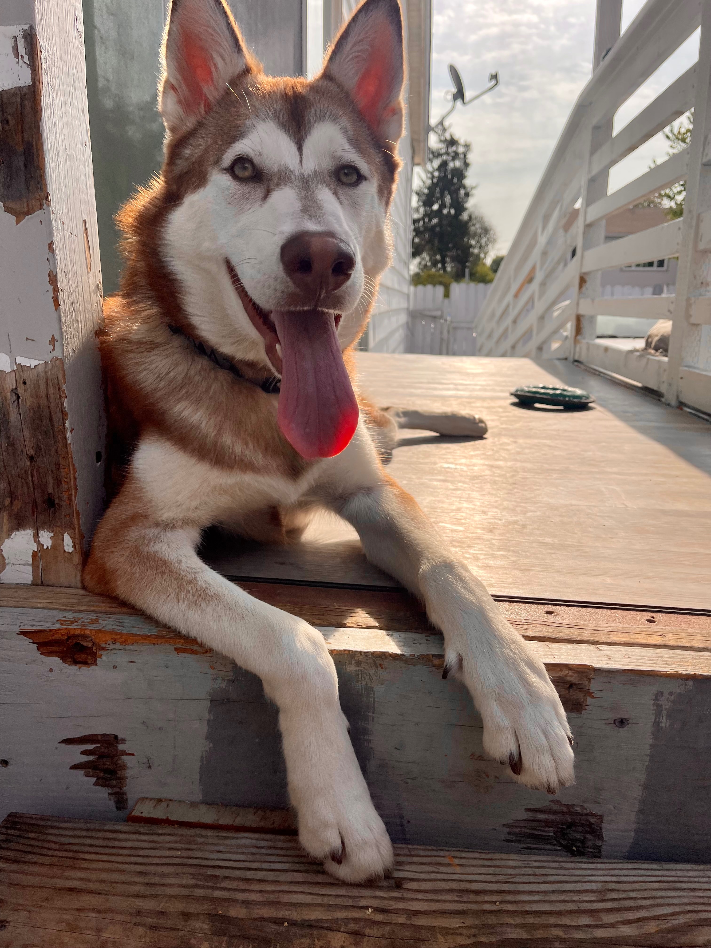 Help Akio Recover and Support His ER Bills campaign photo, 2 of 7