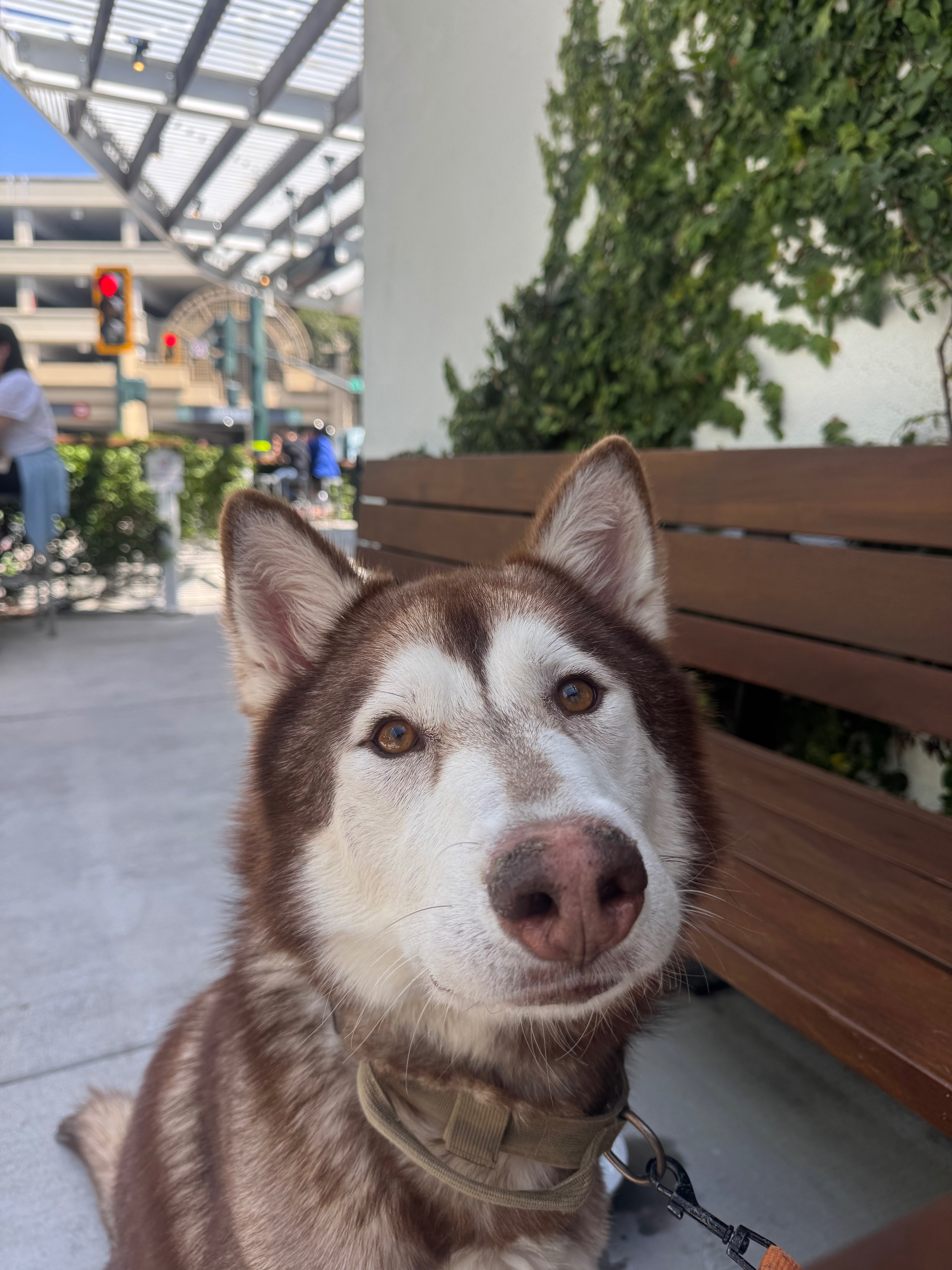 Help Akio Recover and Support His ER Bills campaign photo, 4 of 7