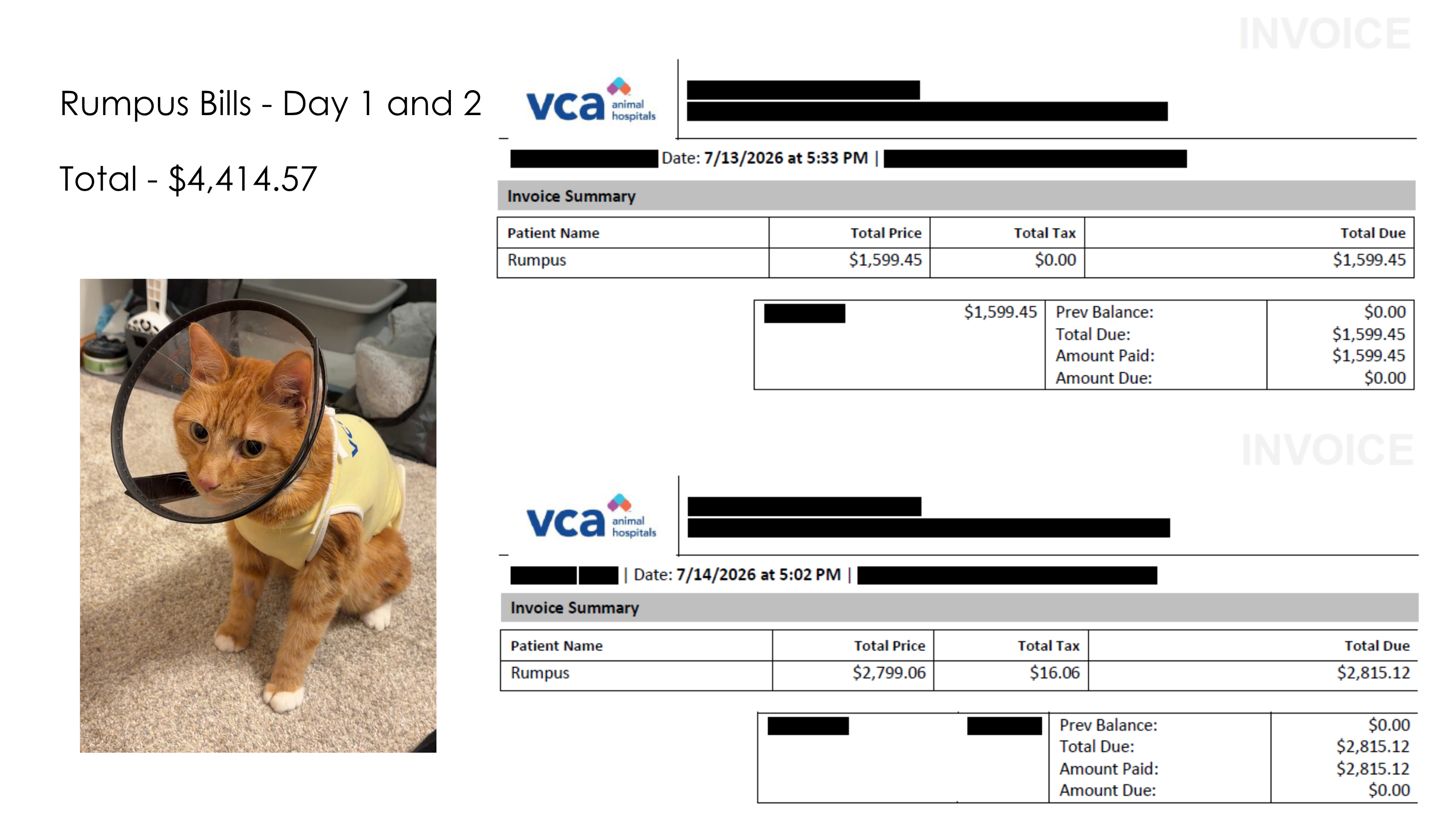 Aid Rumpus’s Return to Mischief campaign photo, 6 of 8