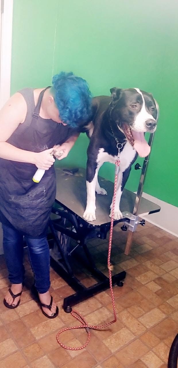 Help The Altered Dog Move Through Health Hiatus campaign photo, 7 of 8