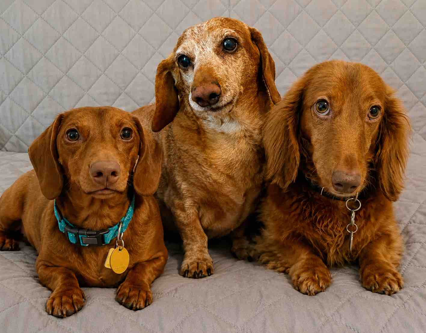 Help Little Charley Stay Healthy campaign photo, 6 of 7