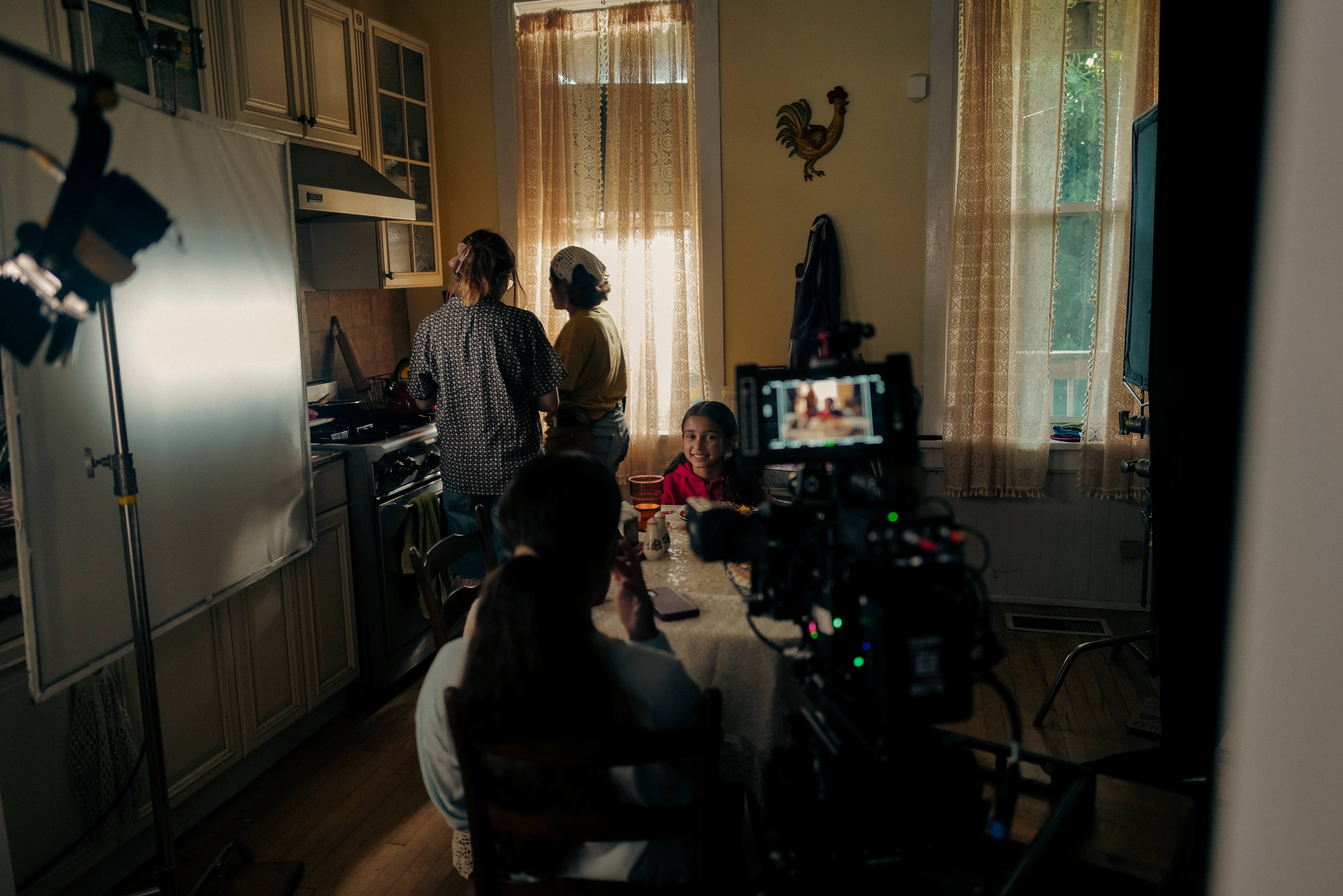 Help Fund 'Know Your Lights' Film in Chicago campaign photo, 2 of 7