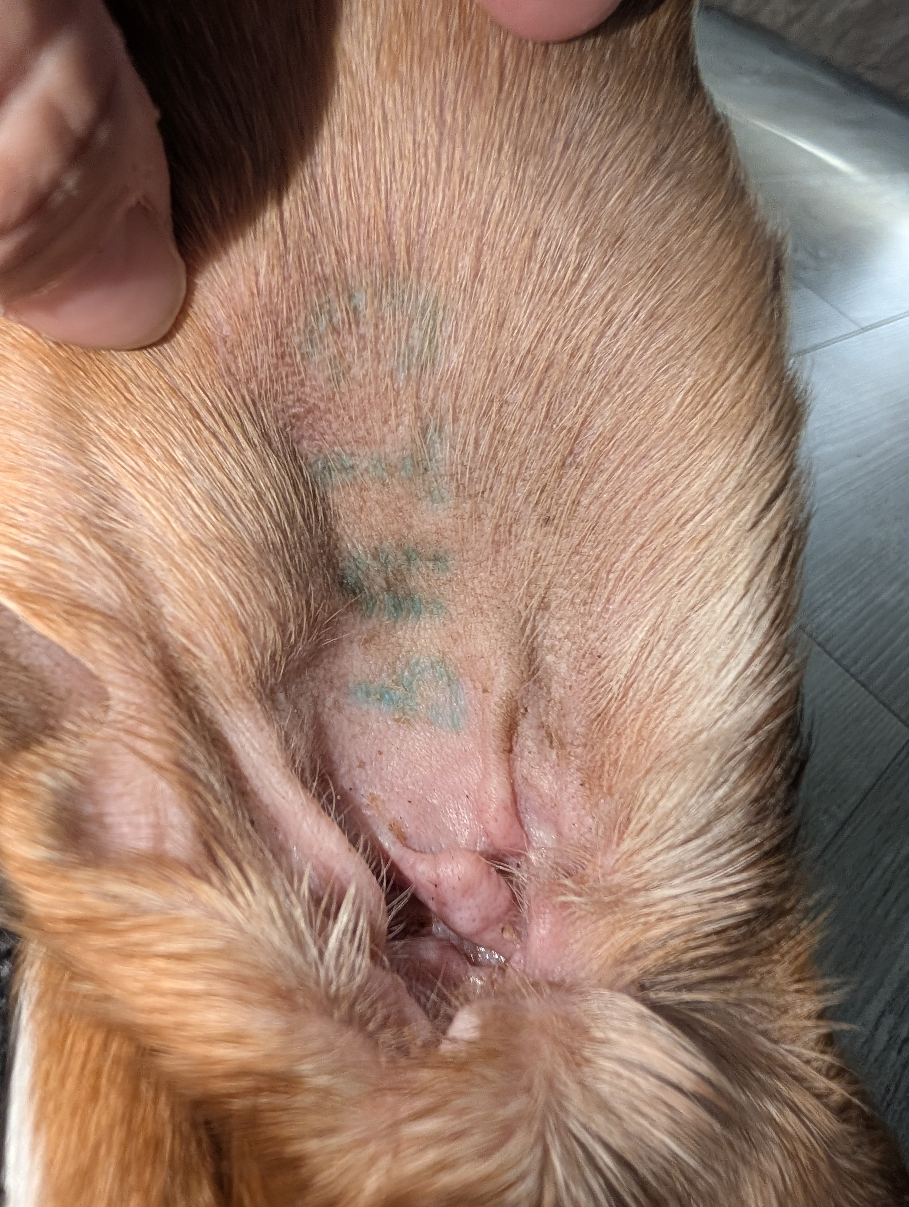 Help Princess Peach Heal: From Lab Number to Loved campaign photo, 5 of 12
