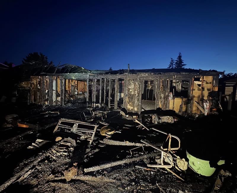 Help Bijan and Rachel Recover After House Fire campaign photo, 2 of 6