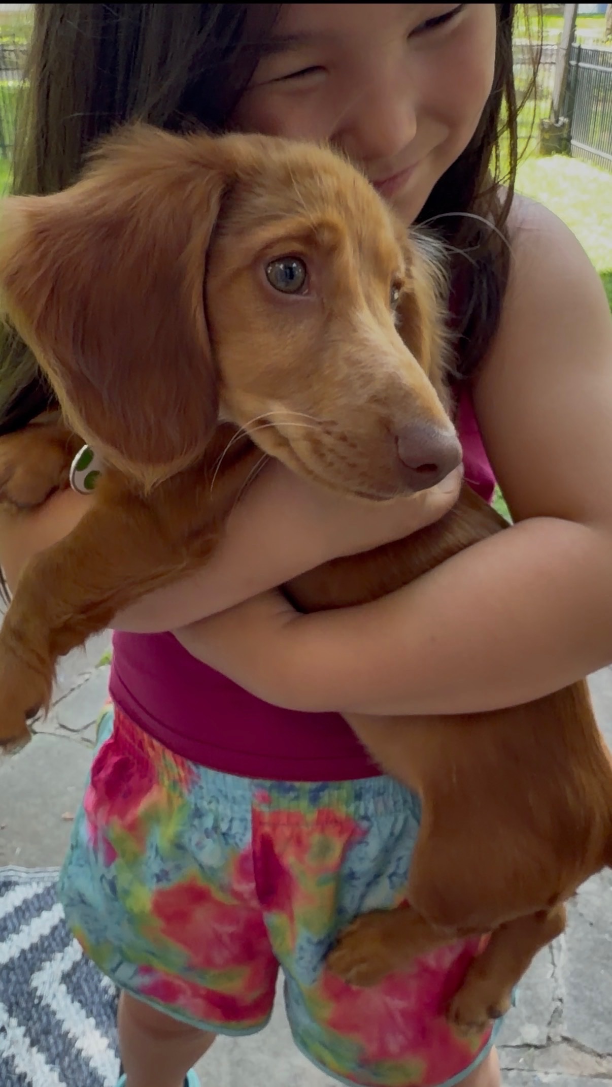 Jovie’s Diabetic Dog Fundraiser campaign photo, 2 of 7