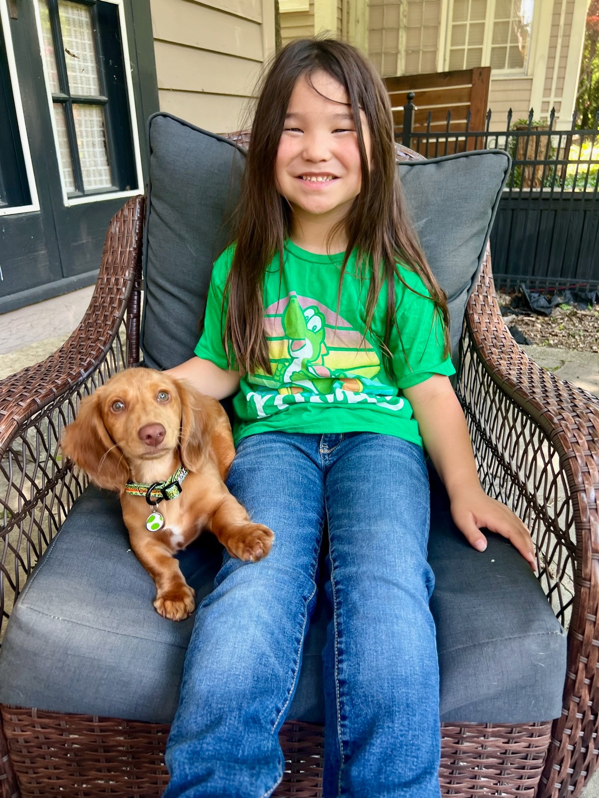 Jovie’s Diabetic Dog Fundraiser campaign photo, 4 of 7