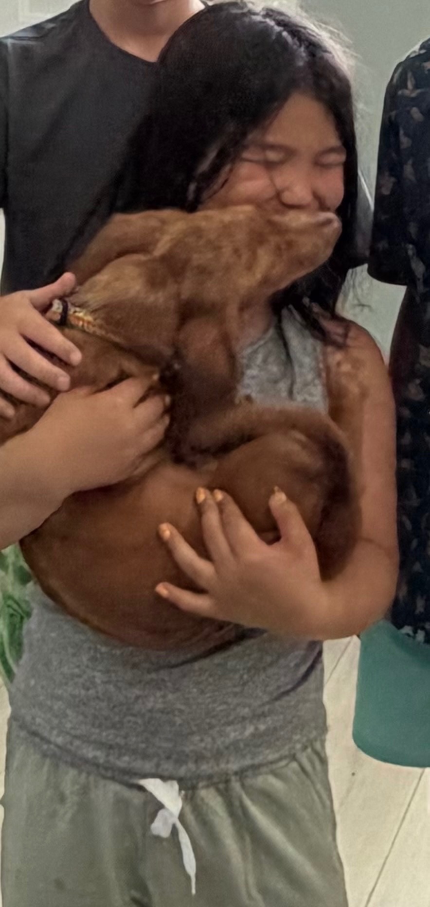 Jovie’s Diabetic Dog Fundraiser campaign photo, 5 of 7