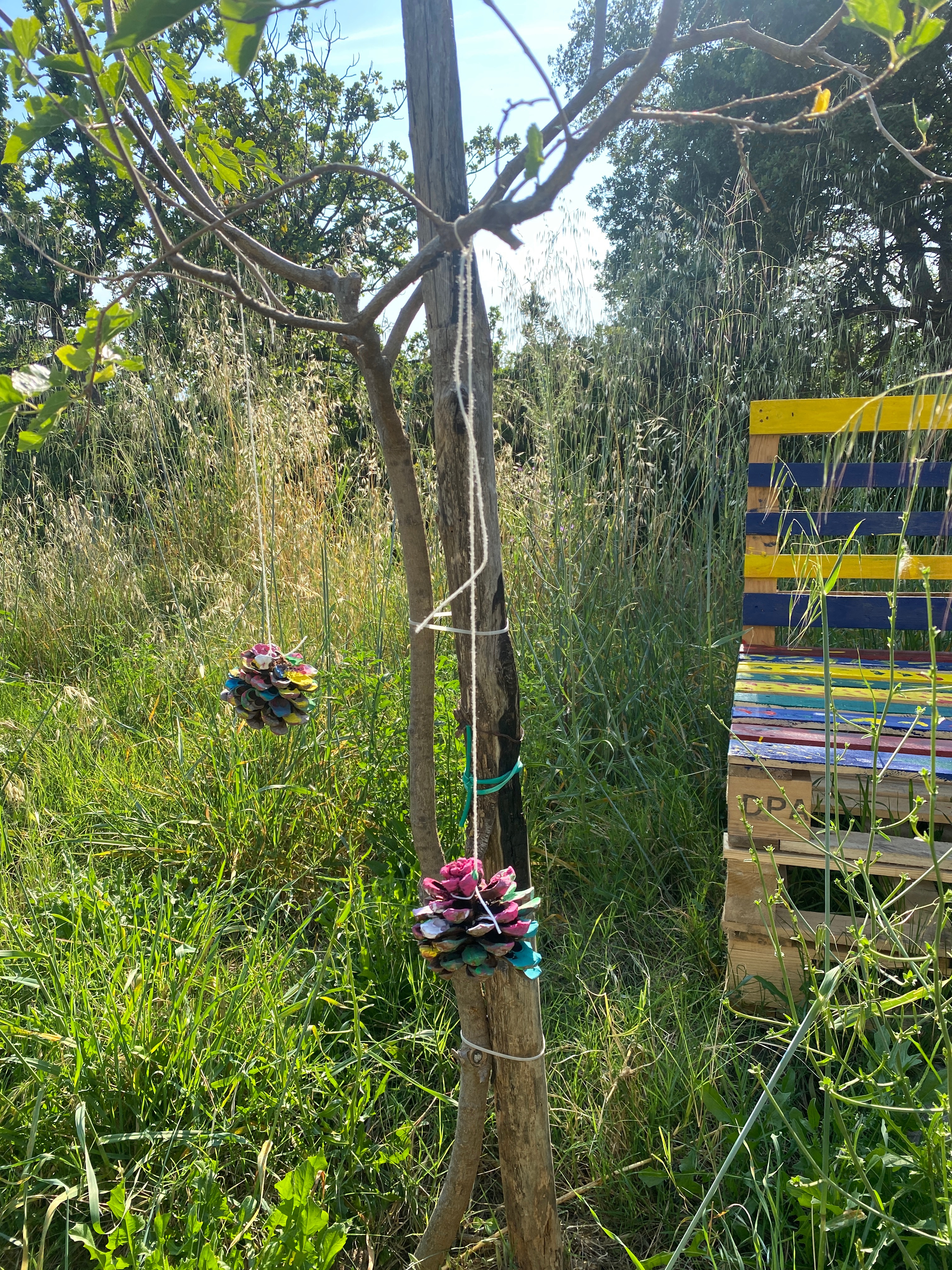Holistic education Calabria – A Place for kids to blossom. campaign photo, 7 of 8