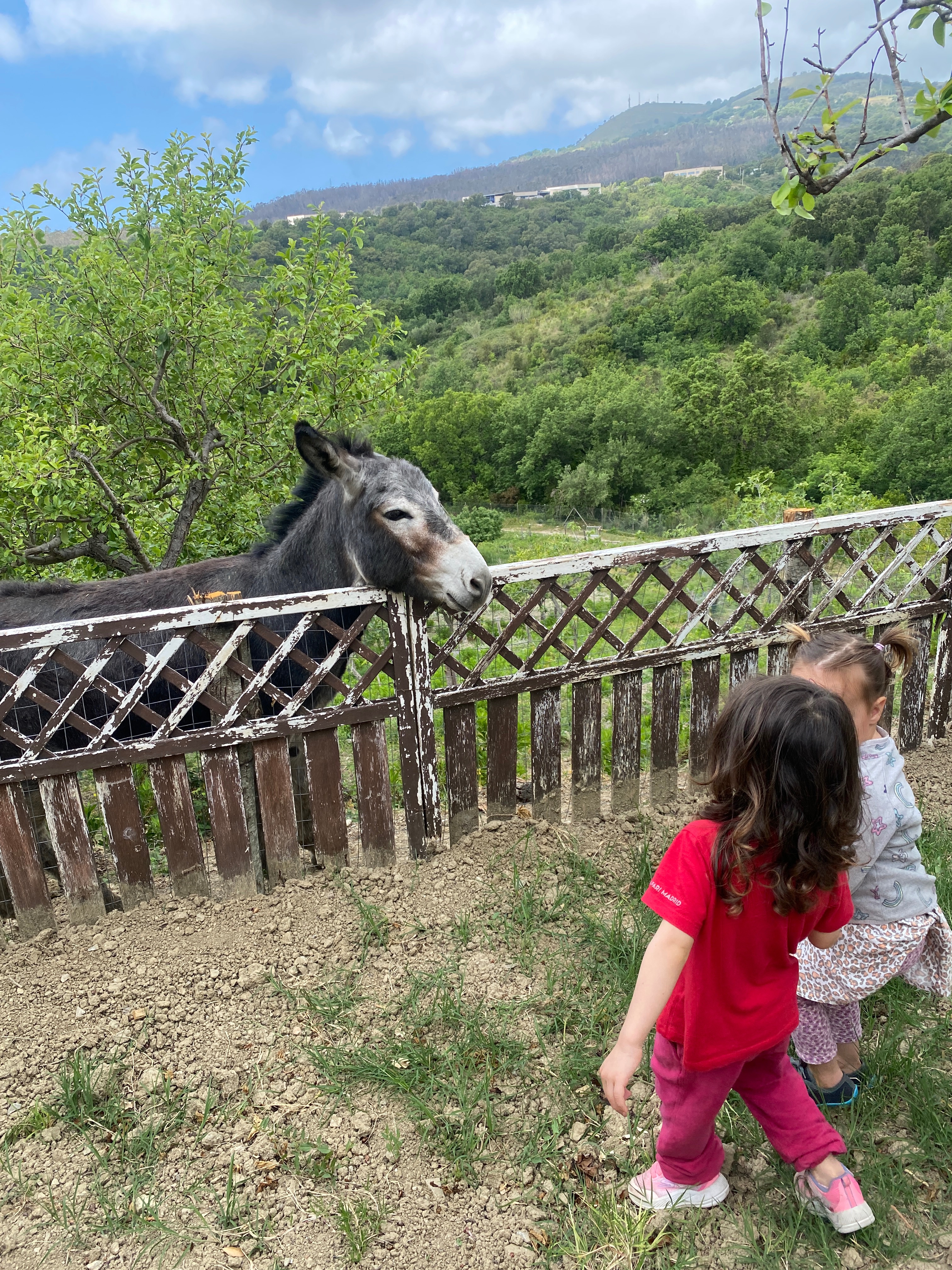 Holistic education Calabria – A Place for kids to blossom. campaign photo, 5 of 8