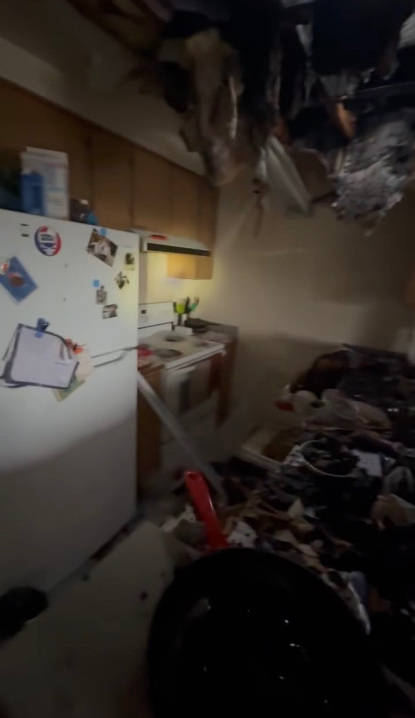 Help Malina Rebuild After Devastating Fire campaign photo, 7 of 8