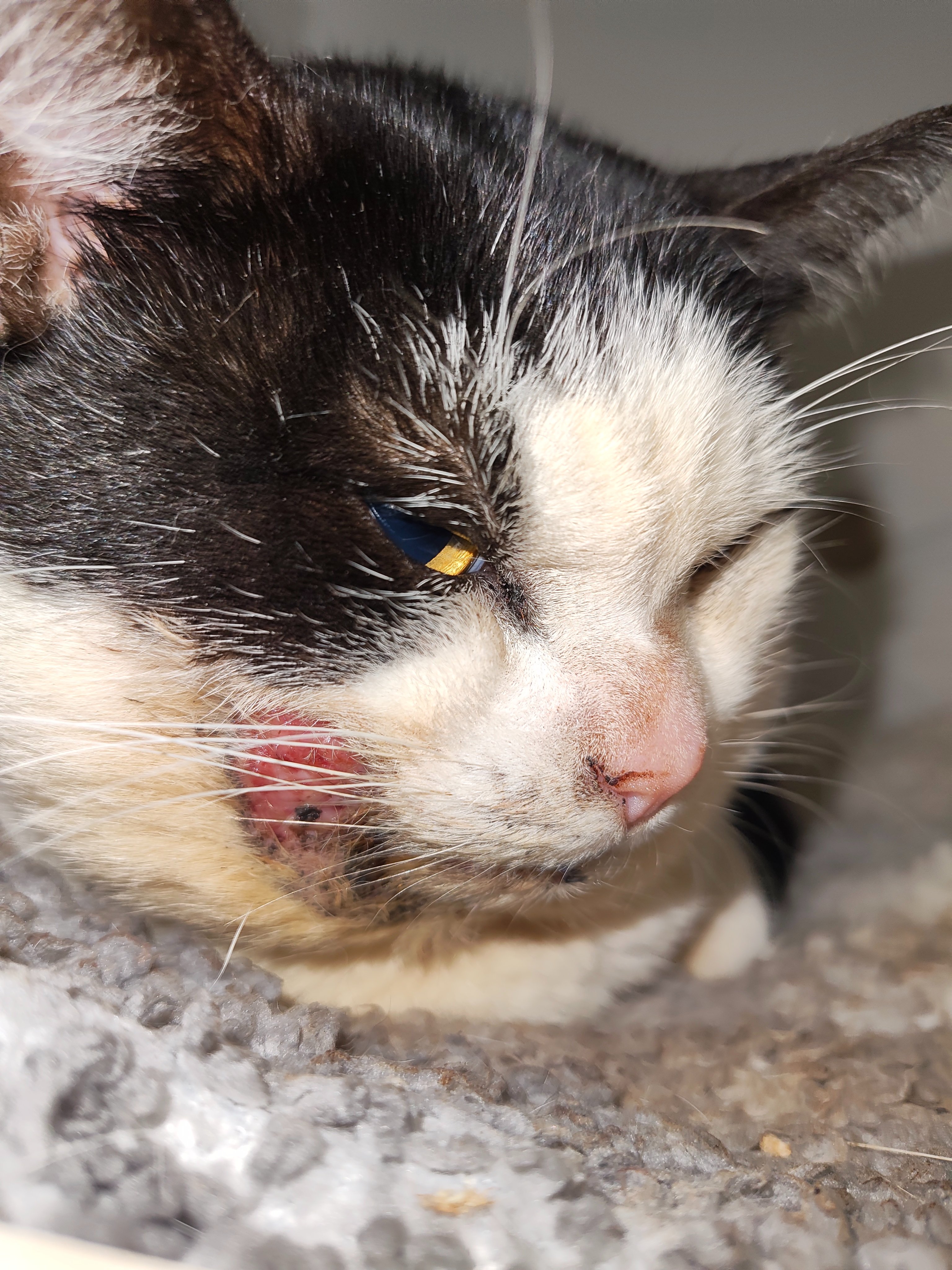 Help 2yo Martin Get Urgent Life-Saving Surgeries campaign photo, 5 of 7