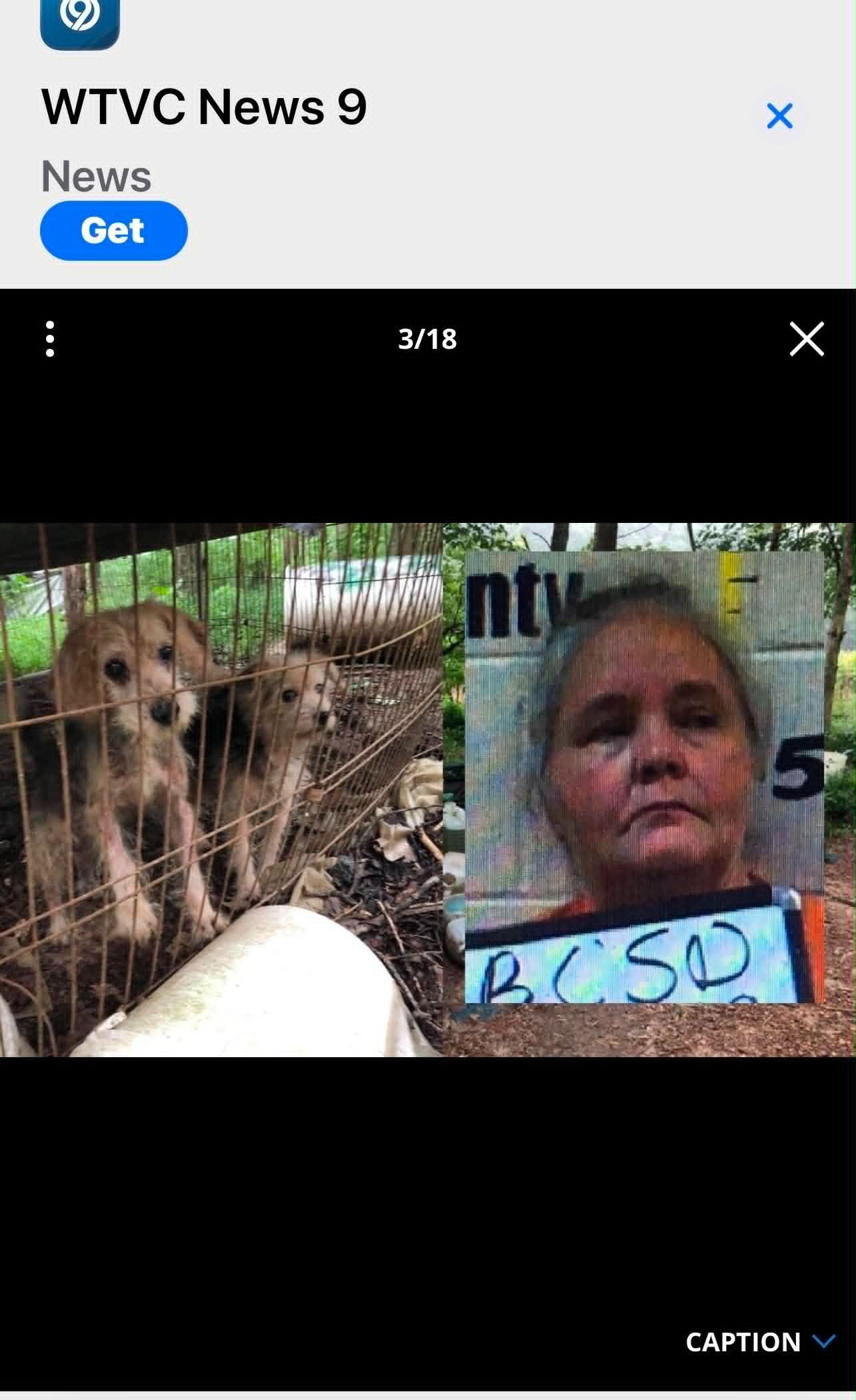 Help My Rescued Girl Heal After Hoarding Trauma campaign photo, 6 of 8