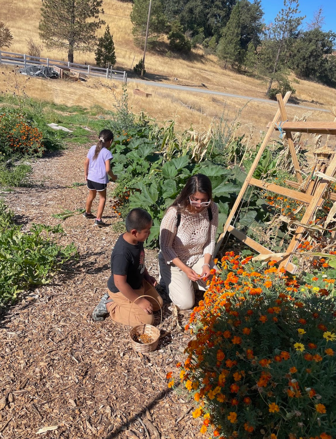 Support Remagination Farm After Devastating Fires campaign photo, 2 of 8
