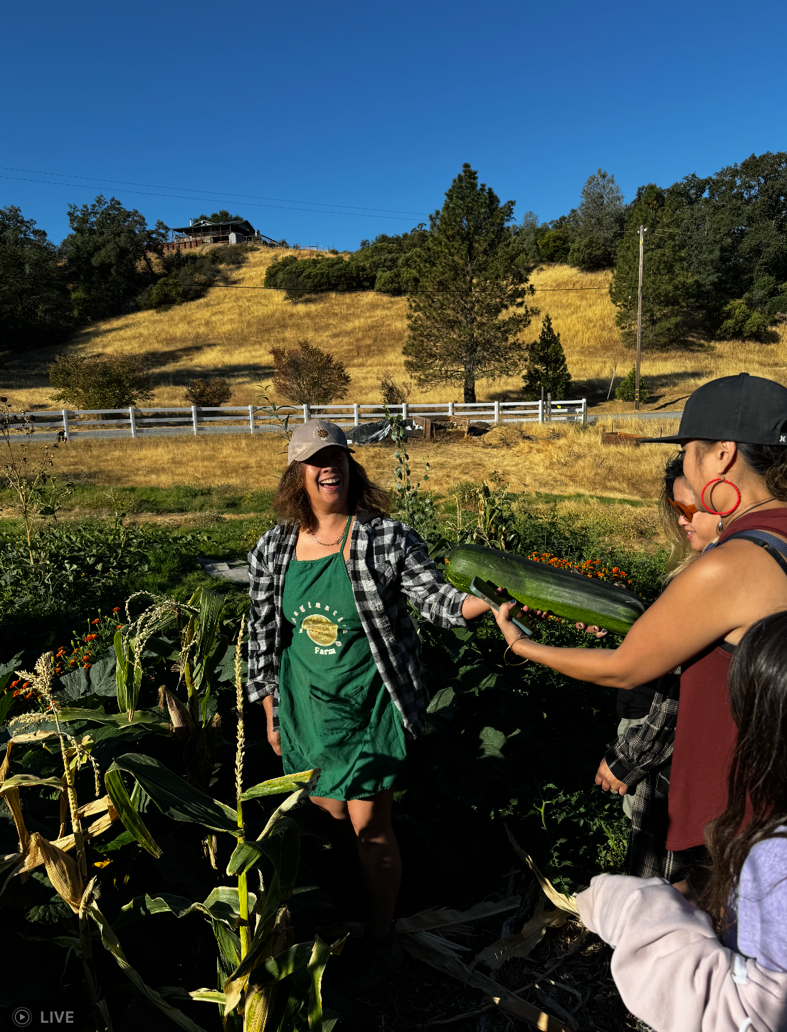 Support Remagination Farm After Devastating Fires campaign photo, 4 of 8