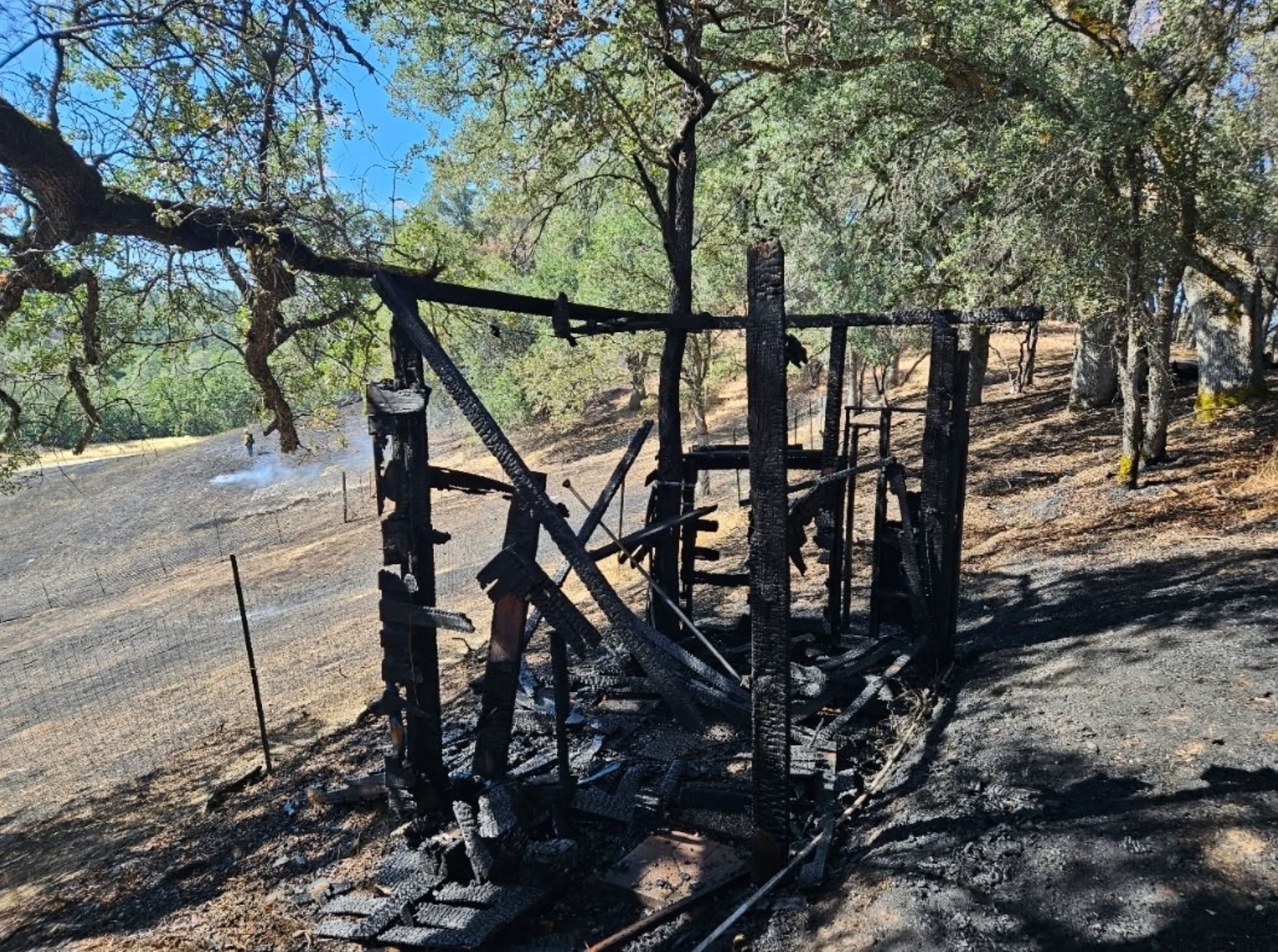 Support Remagination Farm After Devastating Fires campaign photo, 6 of 8