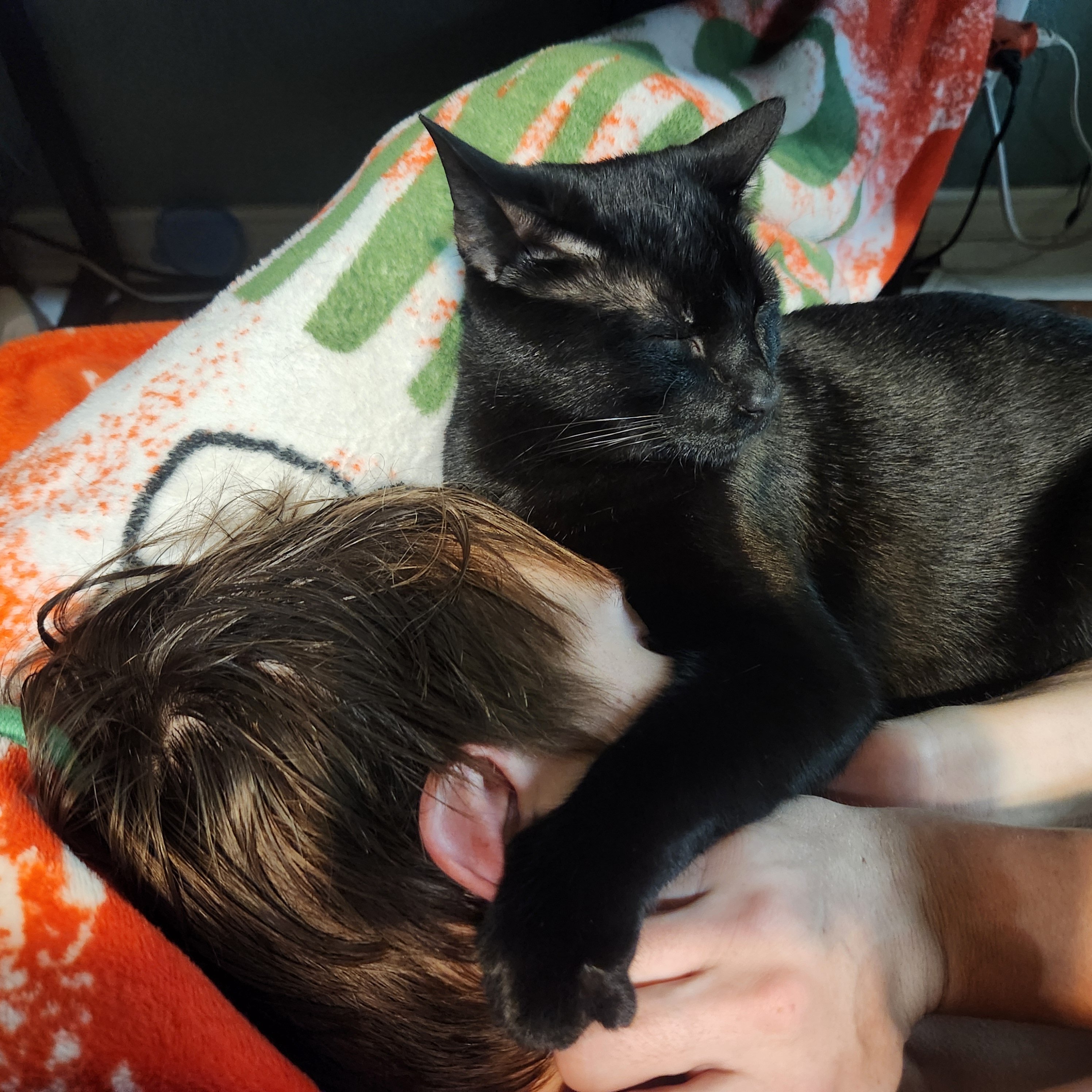 Help Save Bugs, Our Beloved Support Kitty campaign photo, 5 of 7
