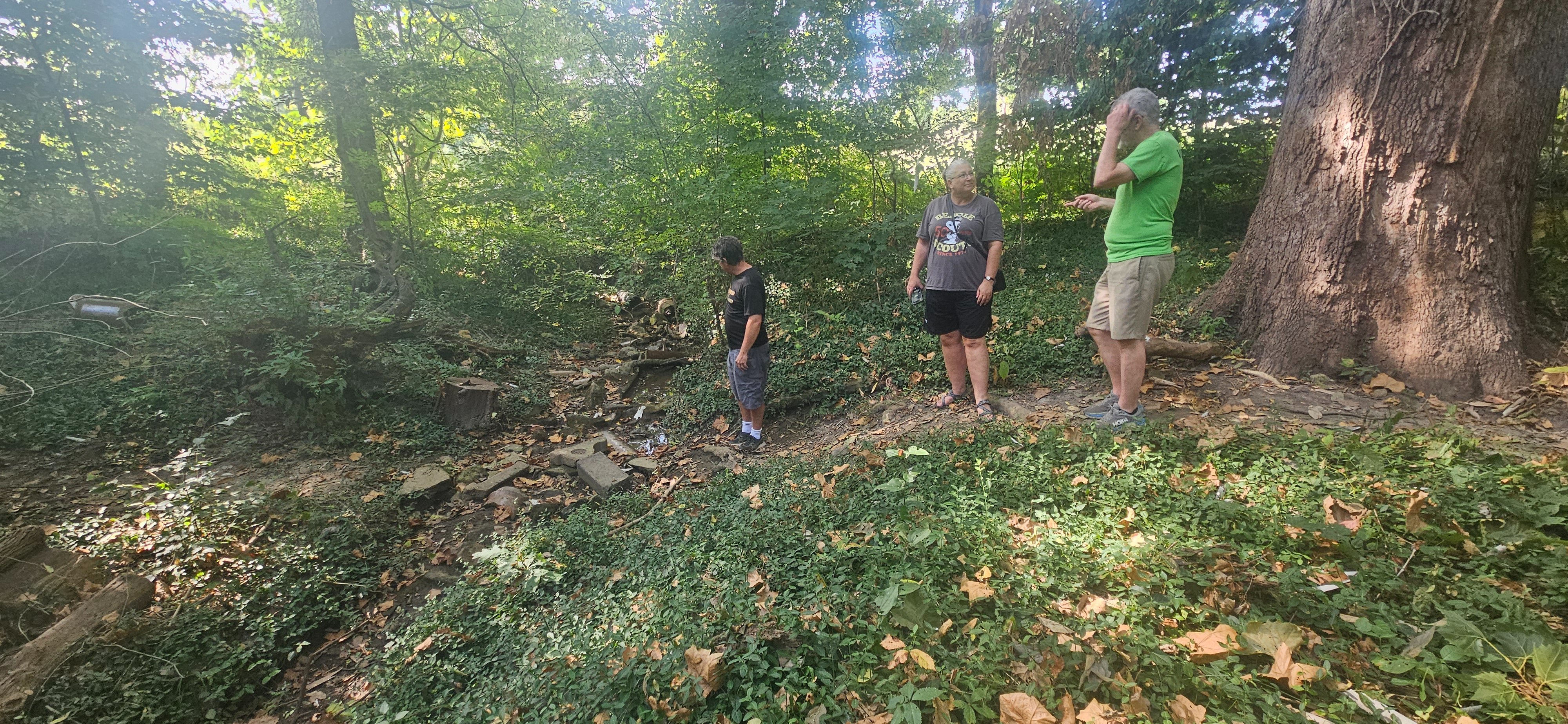 Ruth Park Bridge Development Eagle Scout Project campaign photo, 4 of 5
